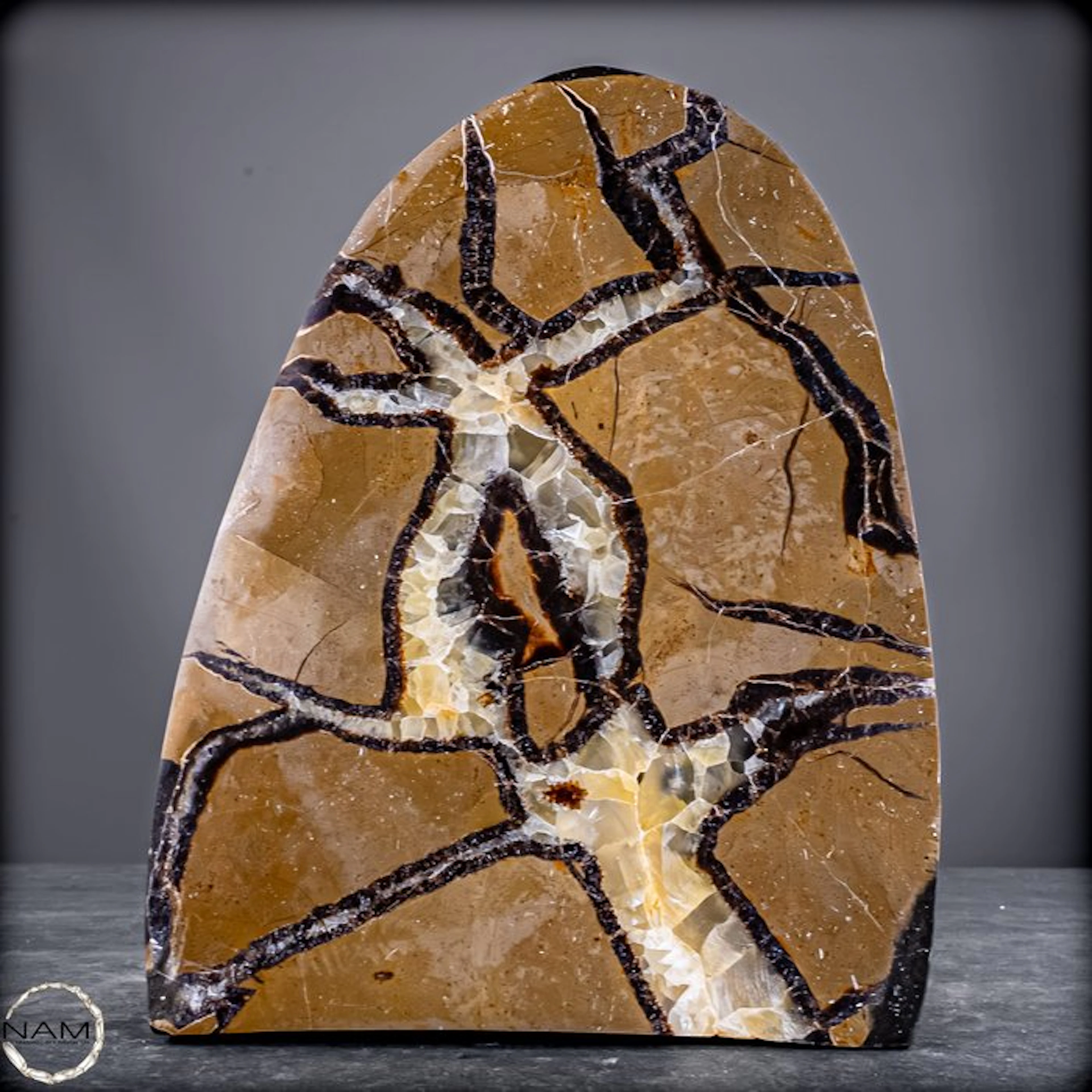 Septarian freeform with druse – Natural structure meets...