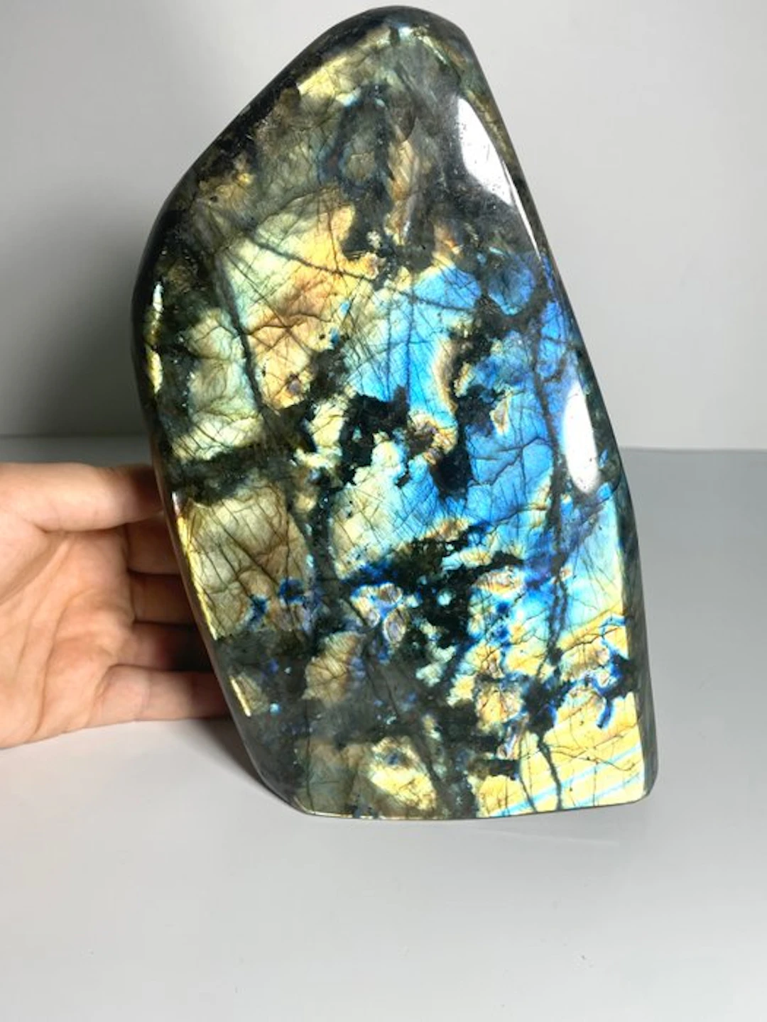 Impressive Labradorite in Freeform – Flash on Both Sides...