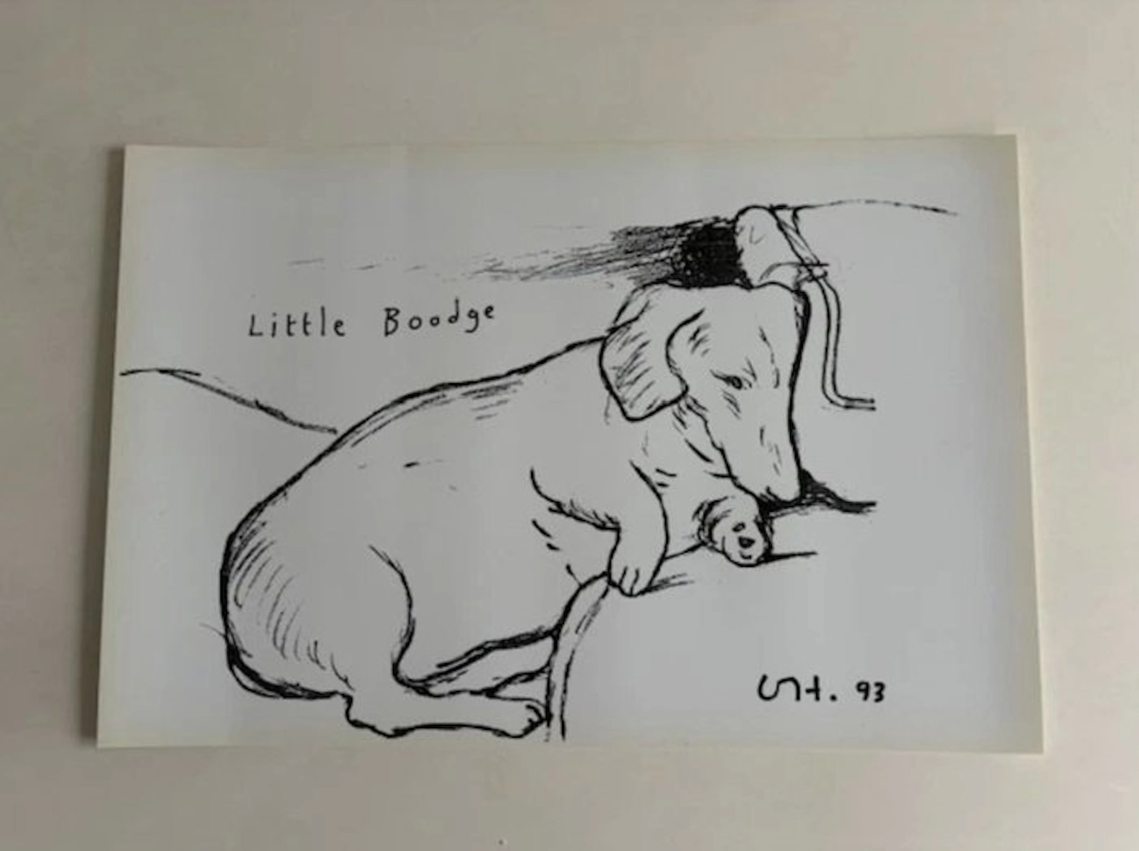 David Hockney - Little Boodge Mini Poster by David Hockney