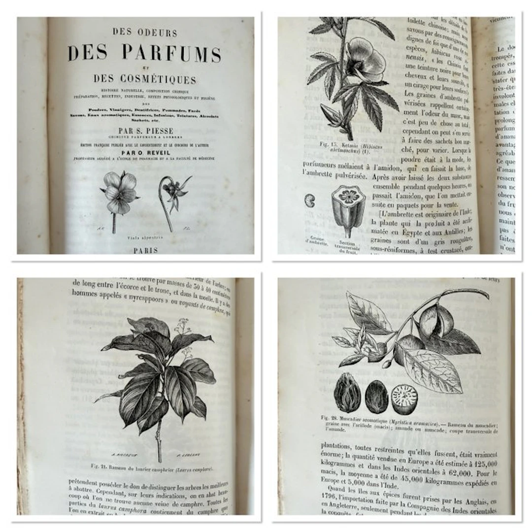 Piesse/Reveil - Des odeurs, des parfums et des cosmétiques - 1865