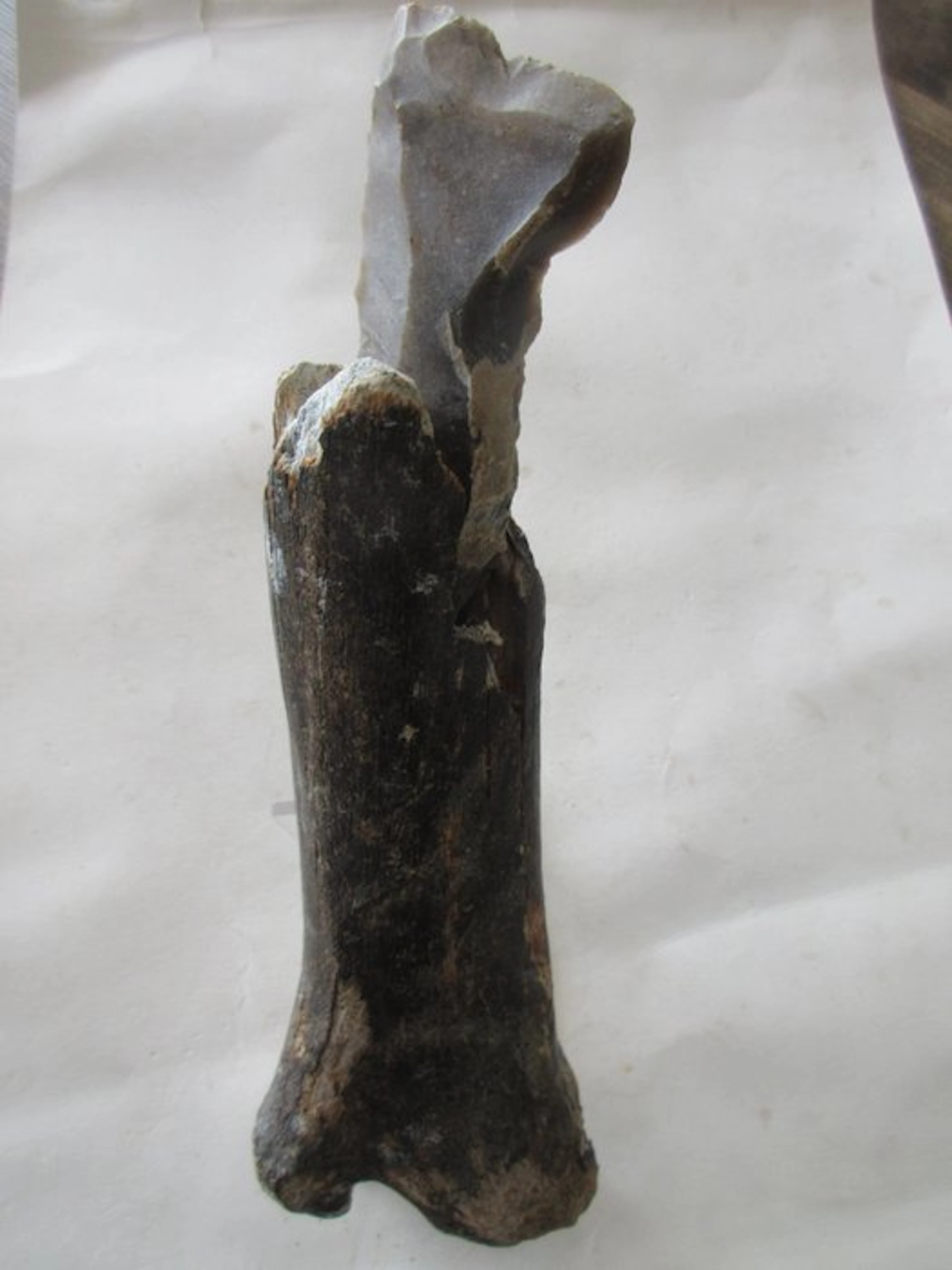 Mesolithic/Epipaleolithic Bone Hand axe - 230 mm (No reserve price)