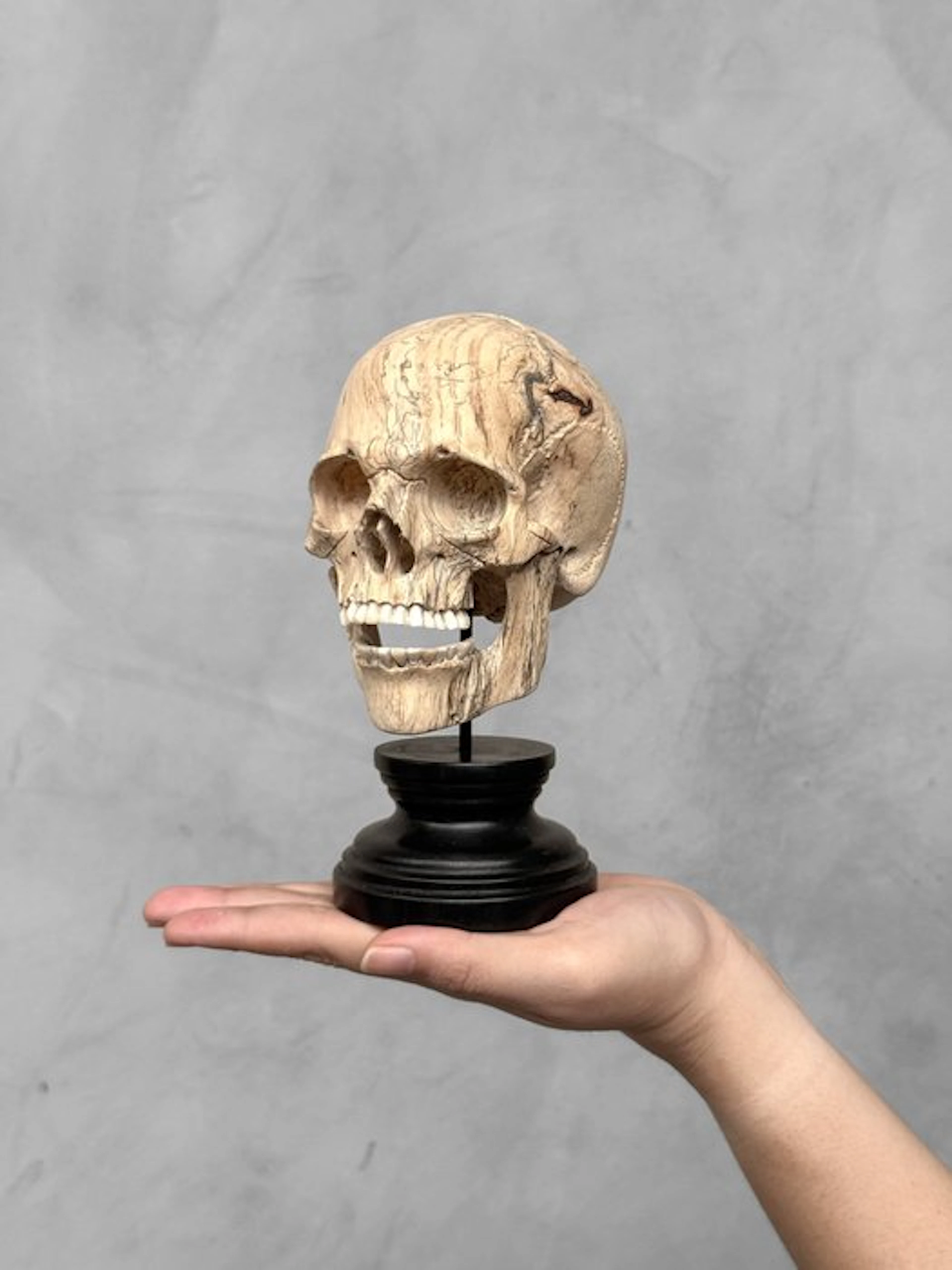 NO RESERVE PRICE - Stunning Wooden Human Skull With A...
