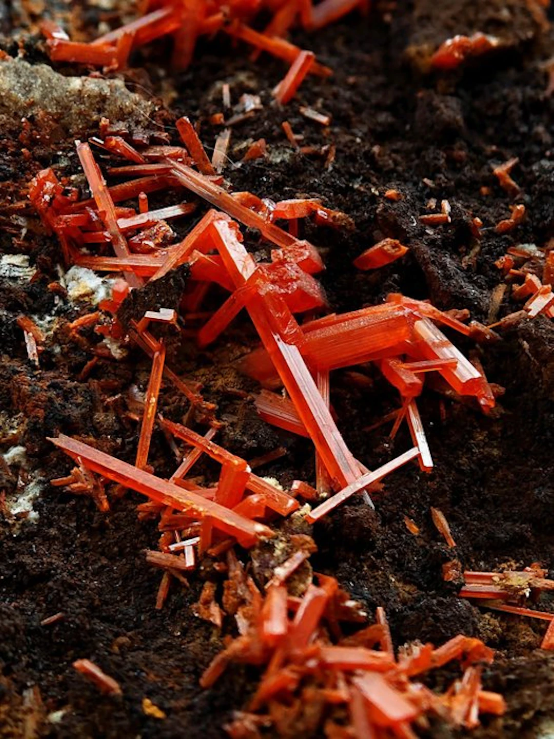 Rare orange crocoite