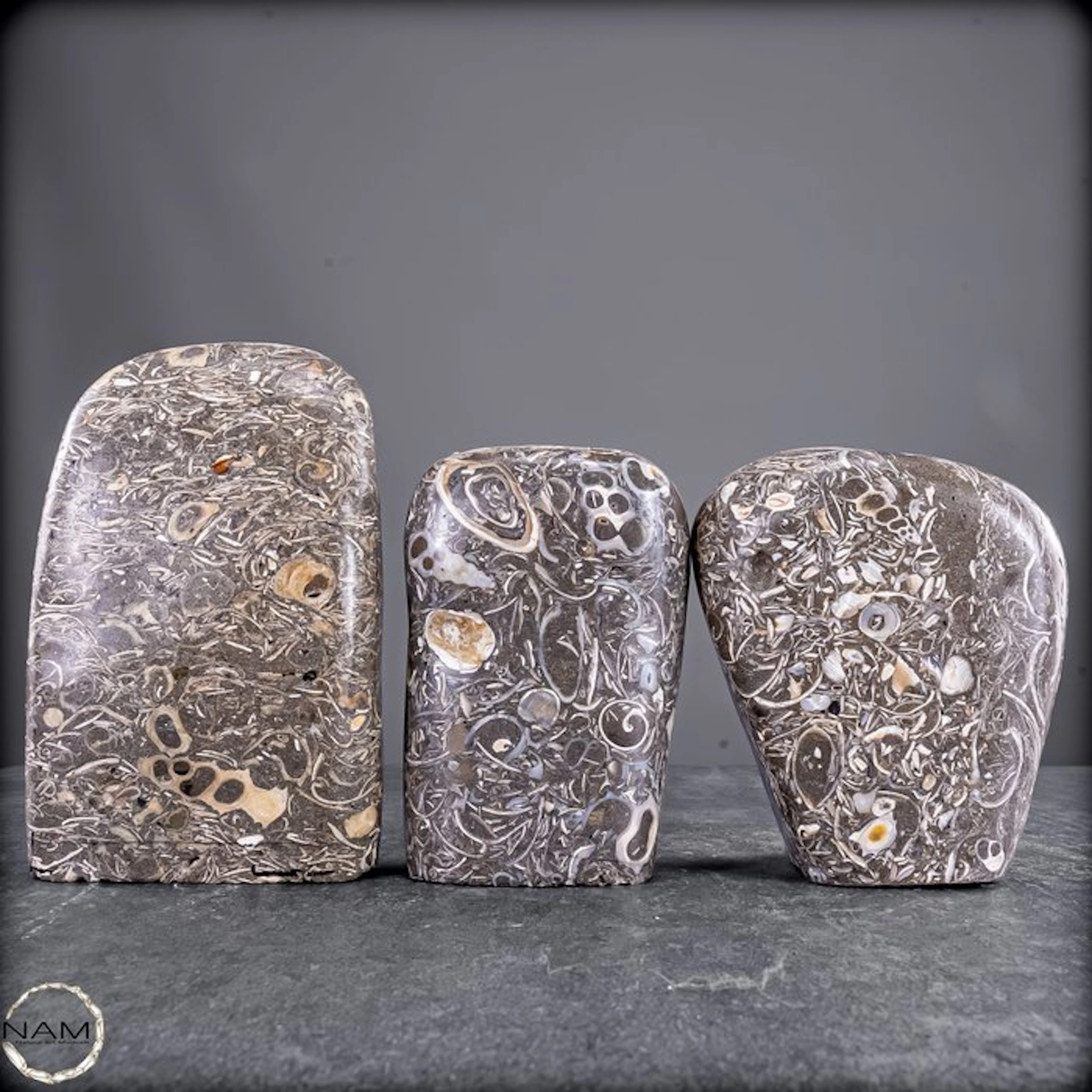 Exclusive Turritella Agate free-form shapes set – Three...