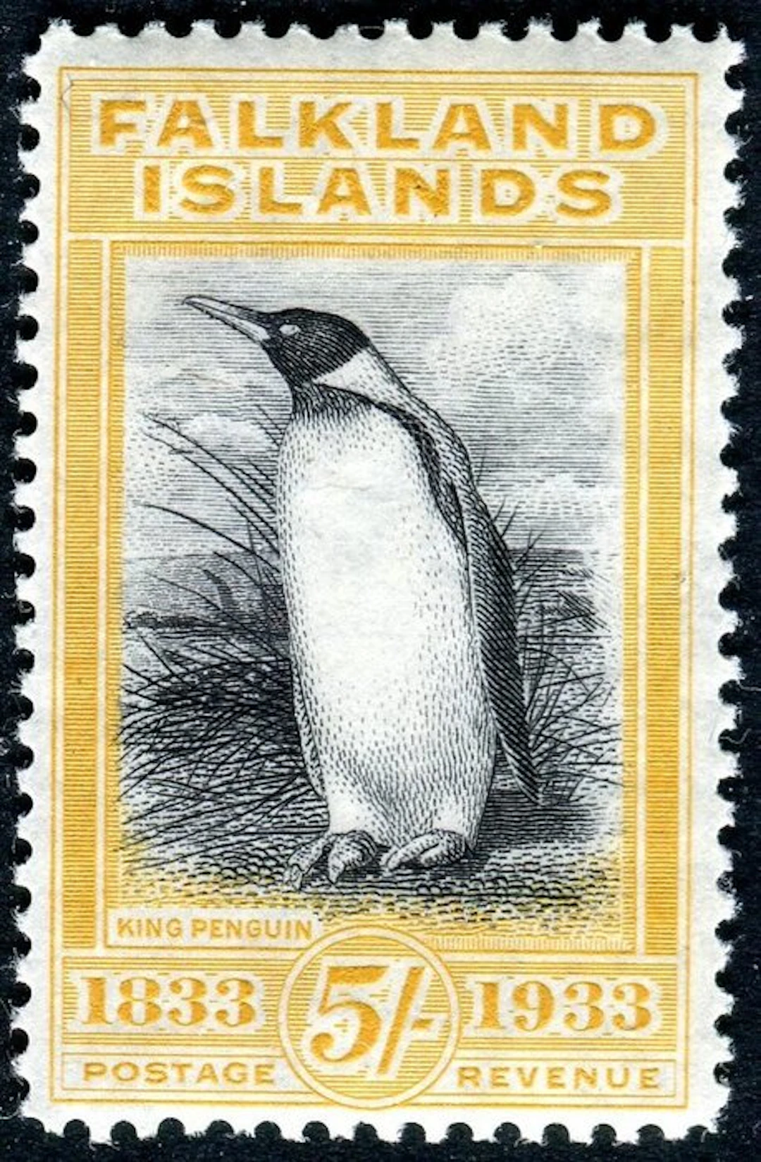 Falkland Islands 1933 - Pinguin, 5 sh. black and yellow - SG 136