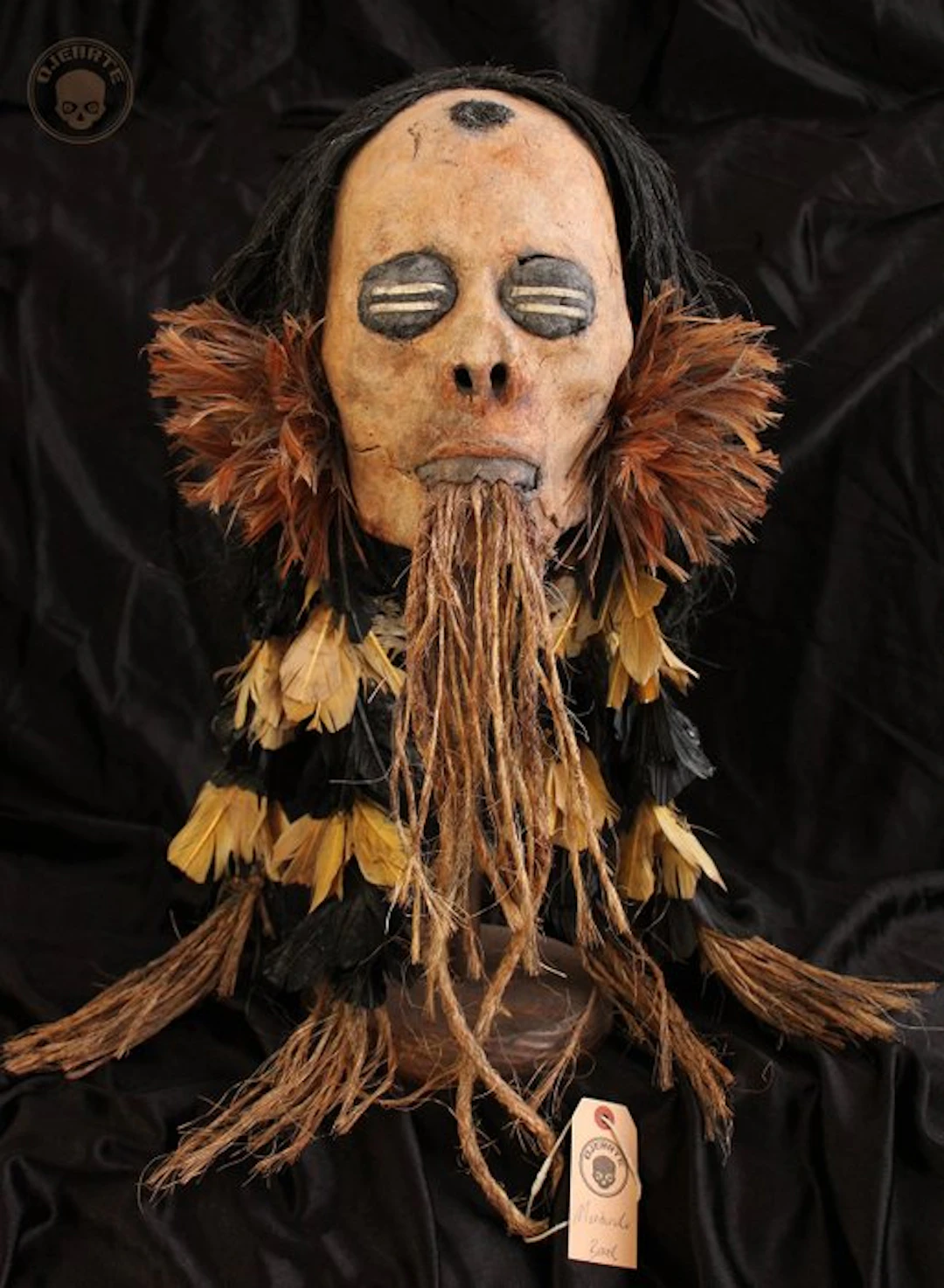 Munduruku Trophy Head Skull - OJEARTE - 46 cm - 27 cm - 24 cm- Non-CITES
