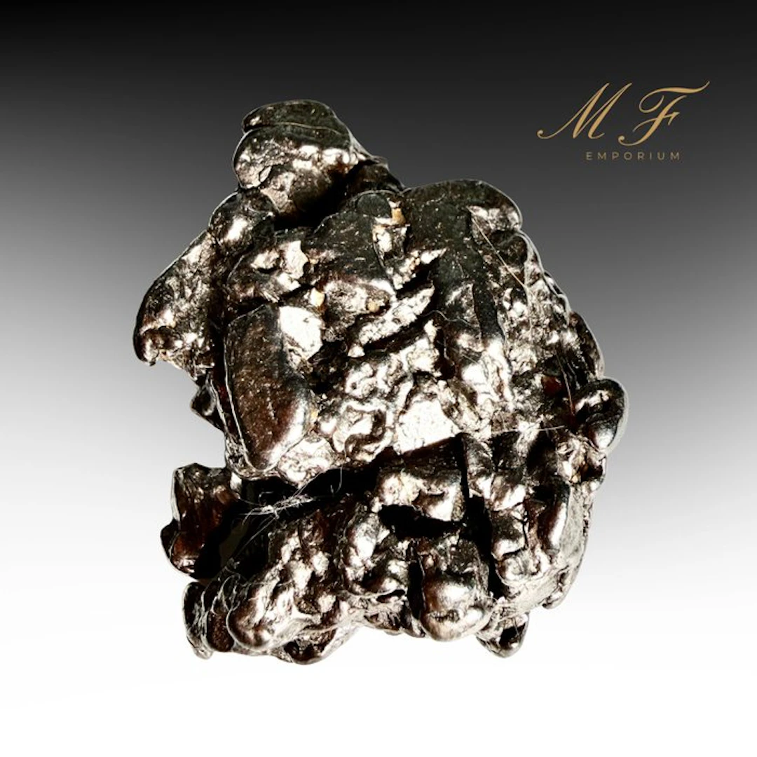 Campo del Cielo Meteorite – Exceptional Specimen Specimen...