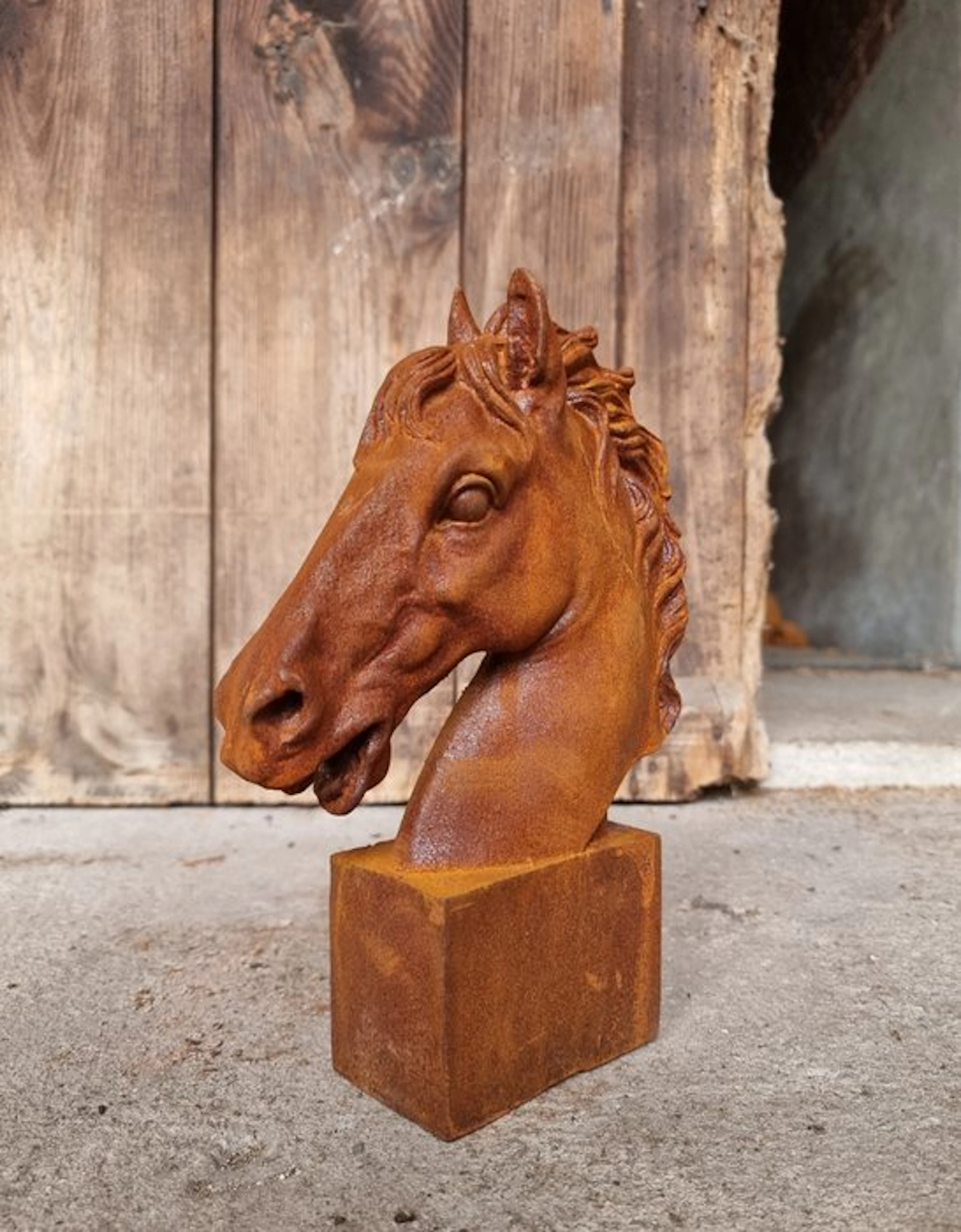 Figurine - paardenhoofd - Iron