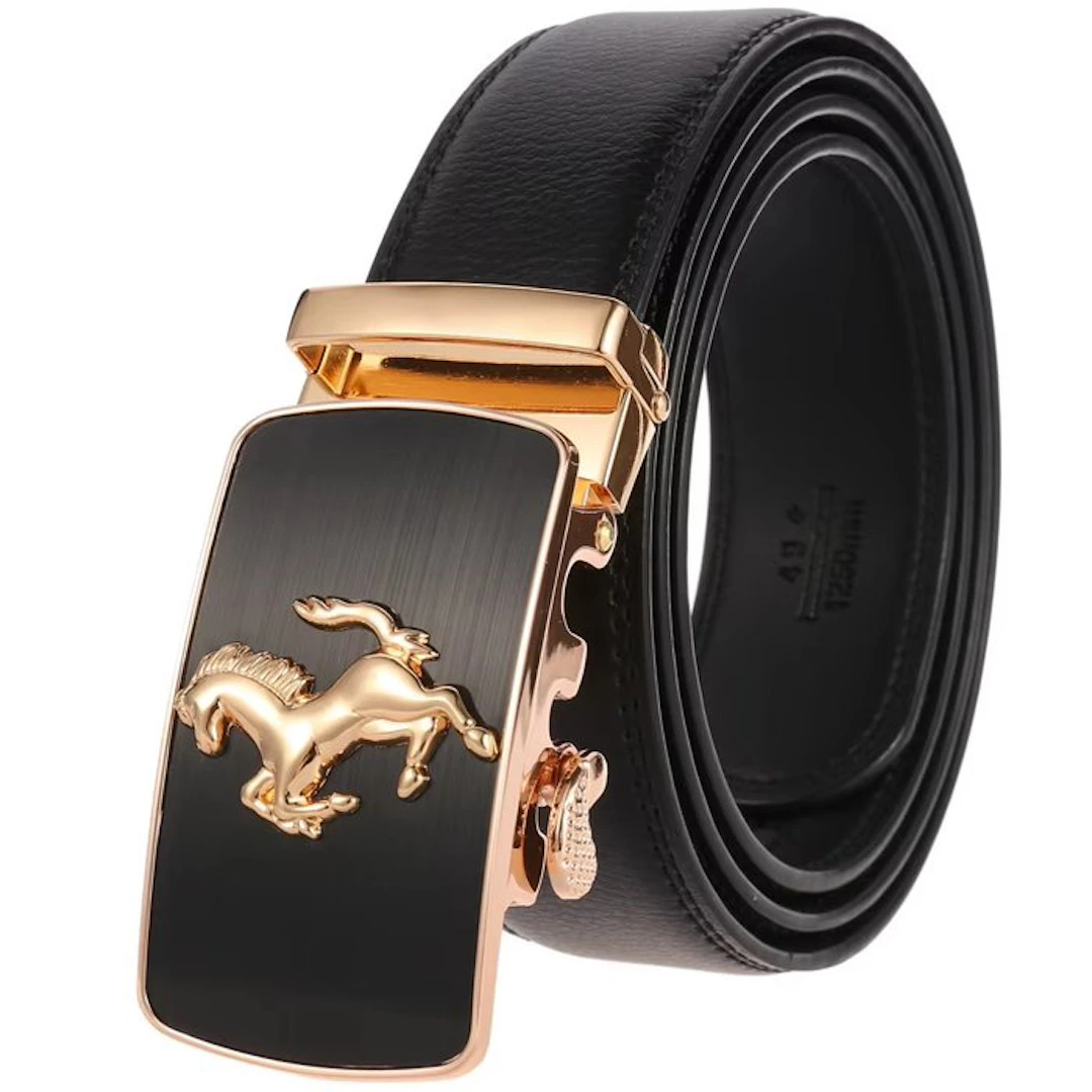 Ferrari - Belt