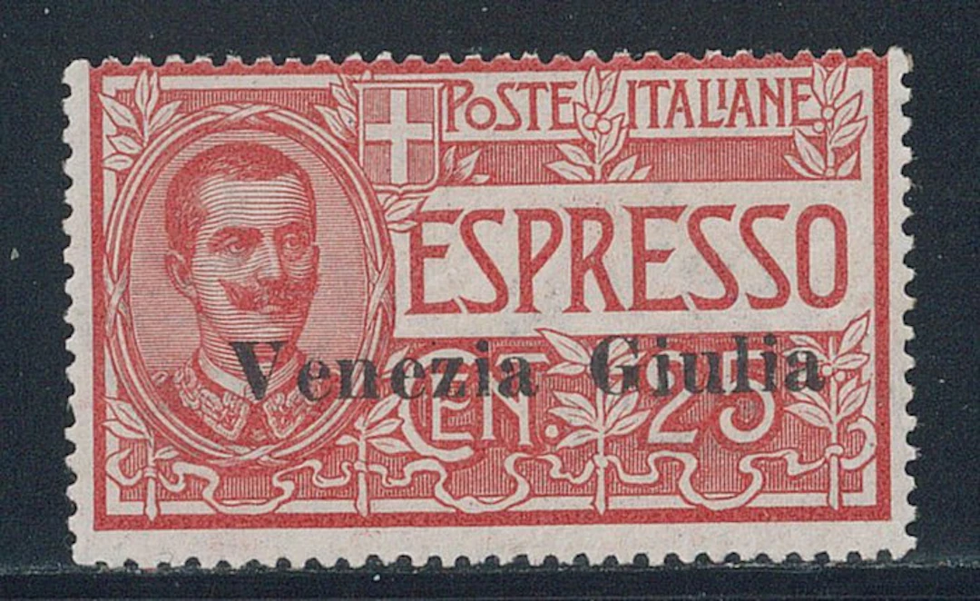 Italy - Julian Venetia - Espresso 25 c. overprinted no. 1.