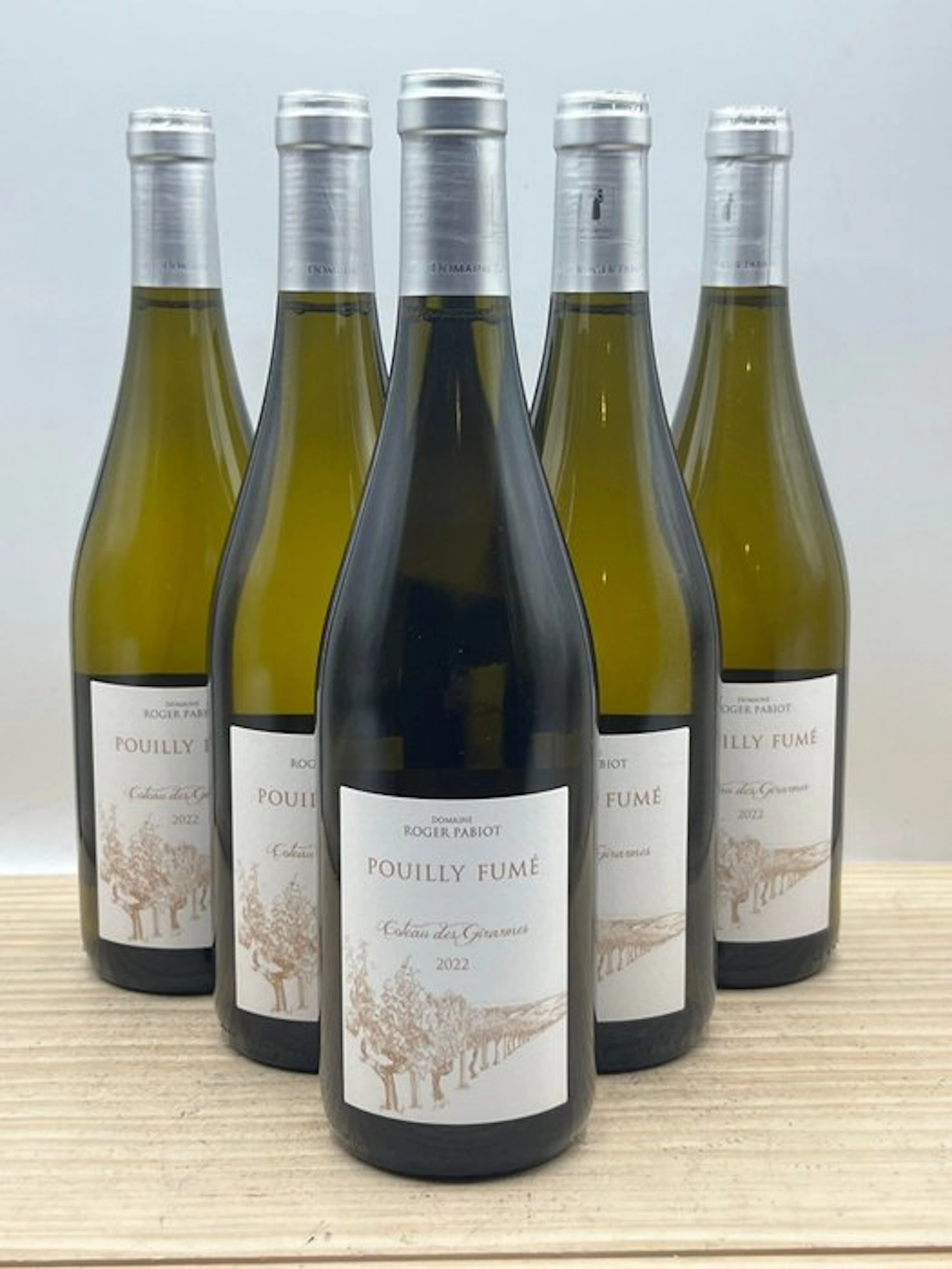 2025 Domaine Roger Pabiot "Coteau des Girarmes" - Pouilly...
