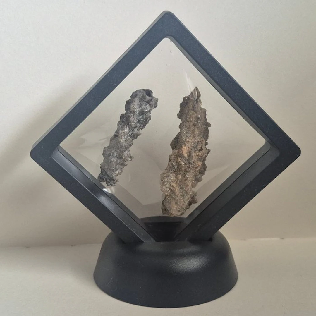 fulgurite Taxidermy full body mount - Fulguriet - 50 mm - 10 mm - 10 mm - 2