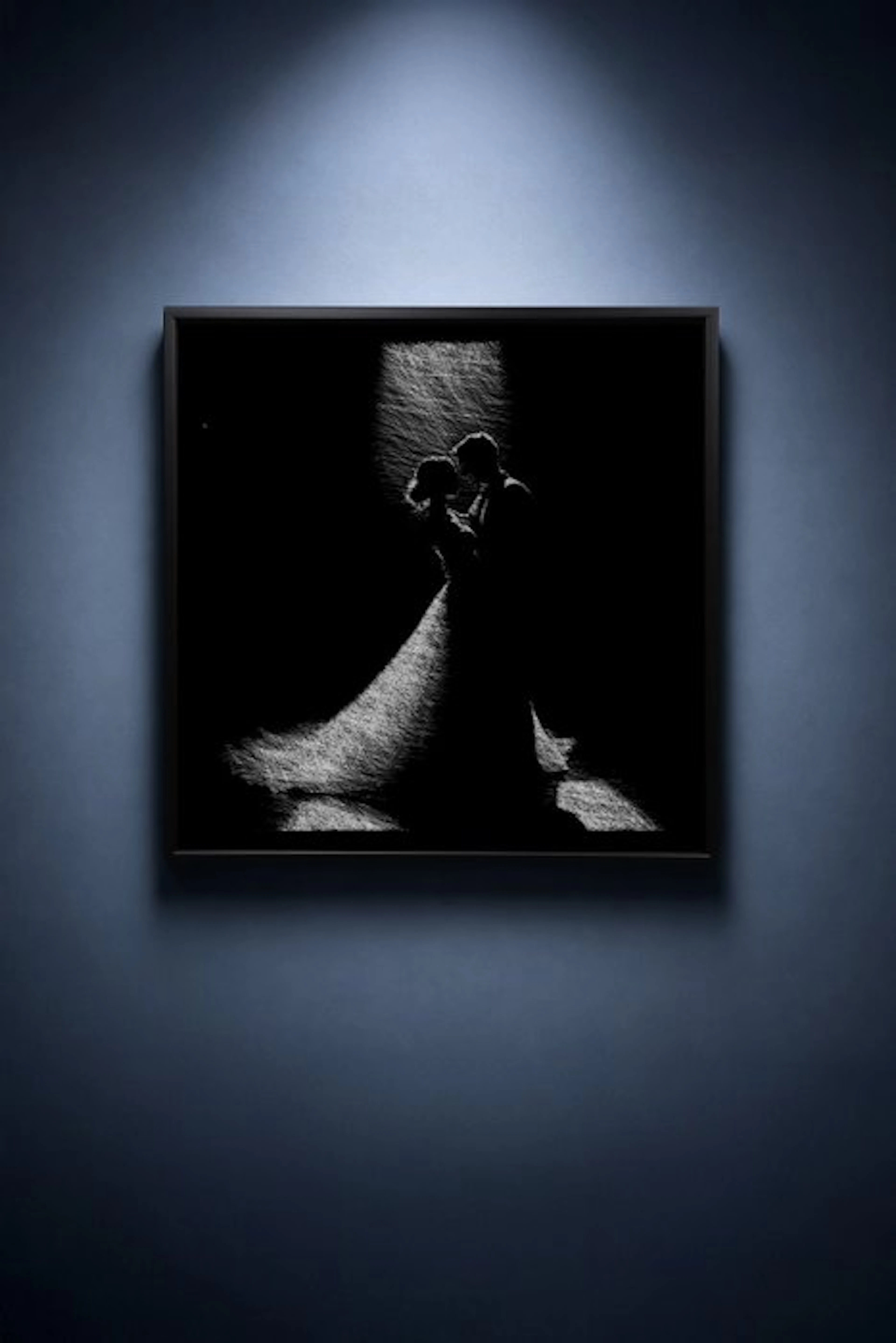 Tijs Dragtsma (1992) - Devotion Wears Her Light
