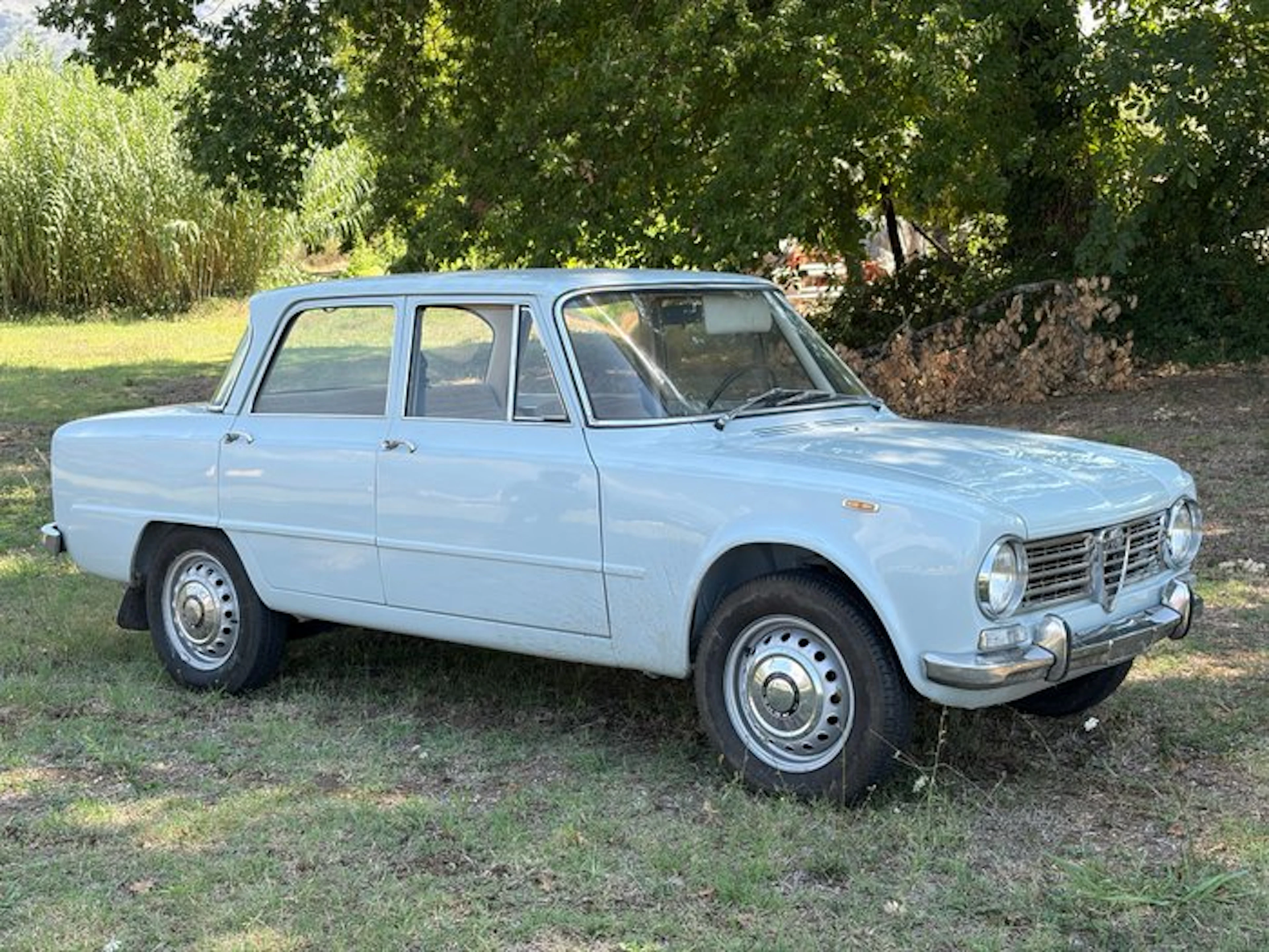 Alfa Romeo - Giulia 1300 TI - 1964