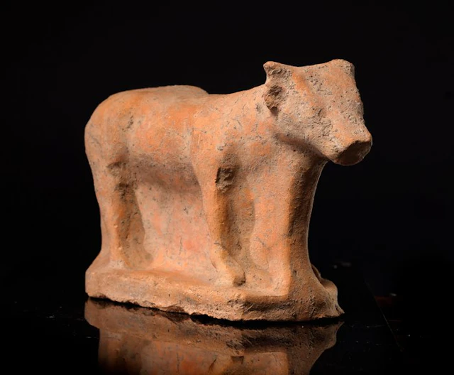 Etruscan Terracotta bull - 14.5 cm