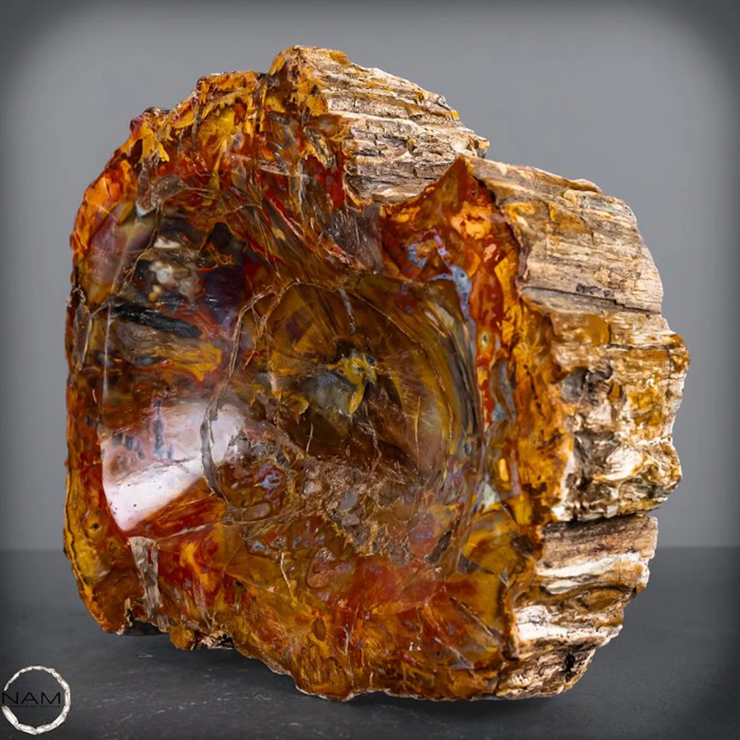 Natural petrified wood bowl from Indonesia from Indonesia- 1745.19 g