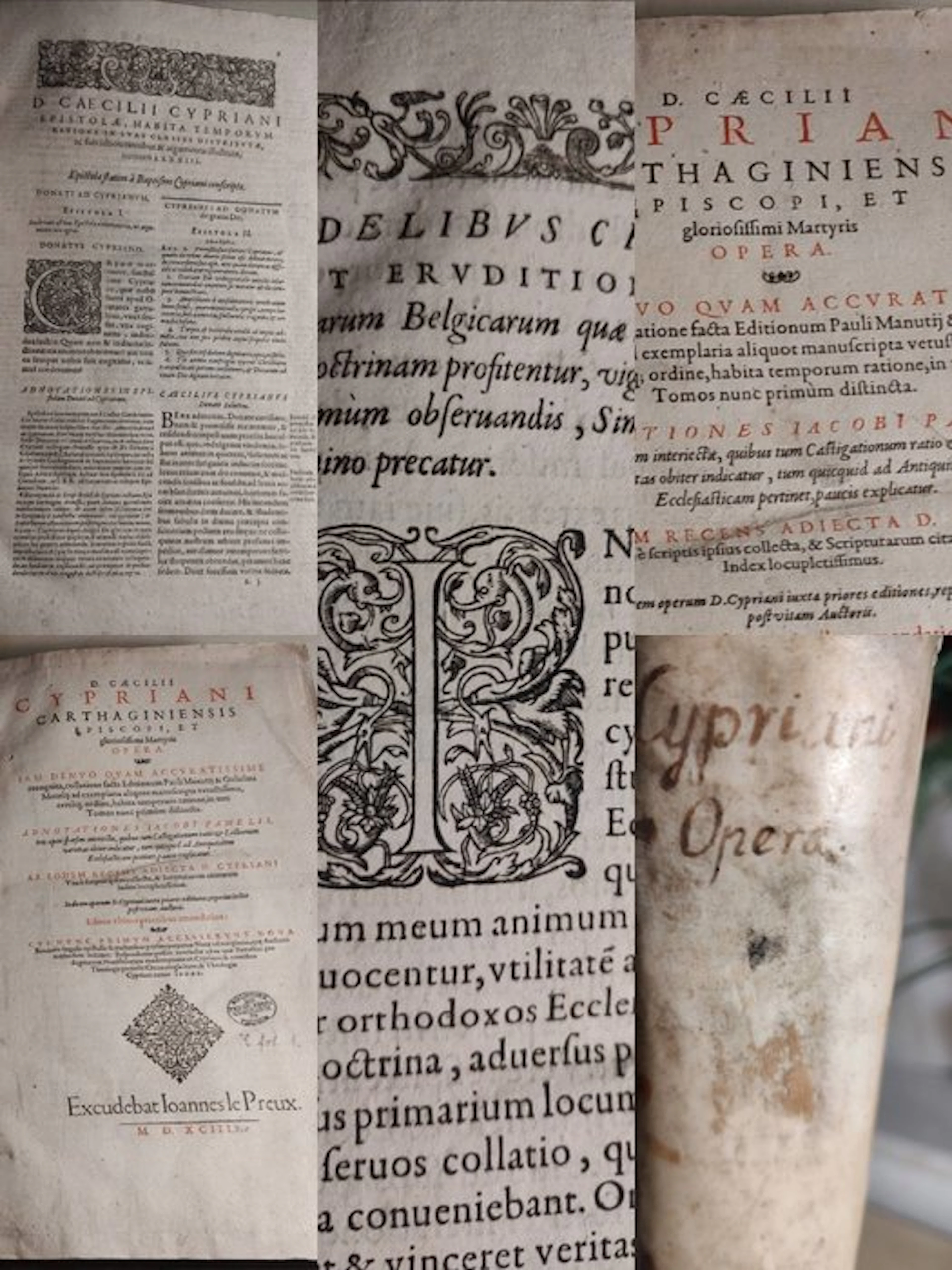 D. Cæcilii Cypriani - D. Cæcilii Cypriani Opera - 1593