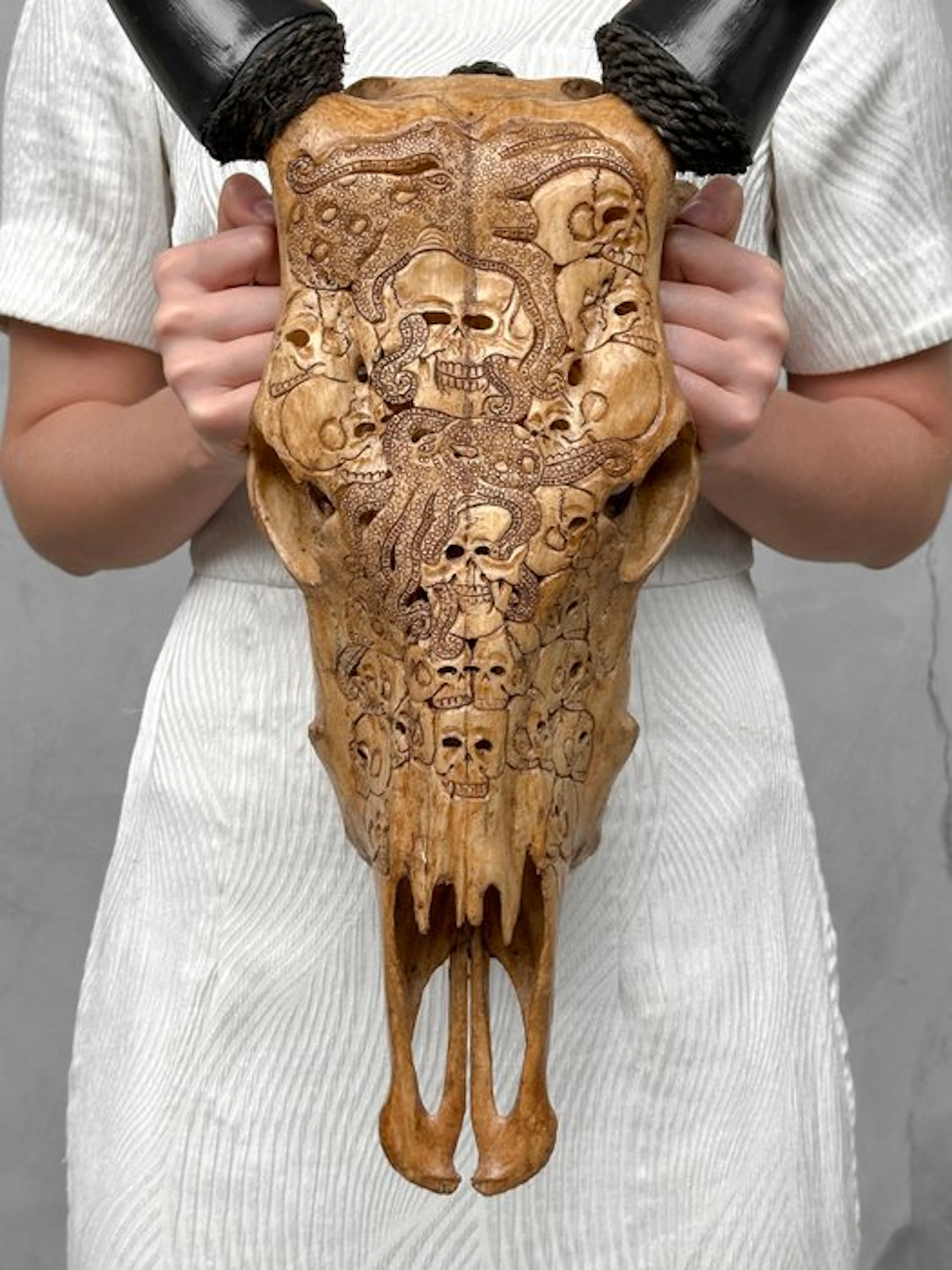 NO RESERVE PRICE - Authentic Brown Carved Cow Skull...
