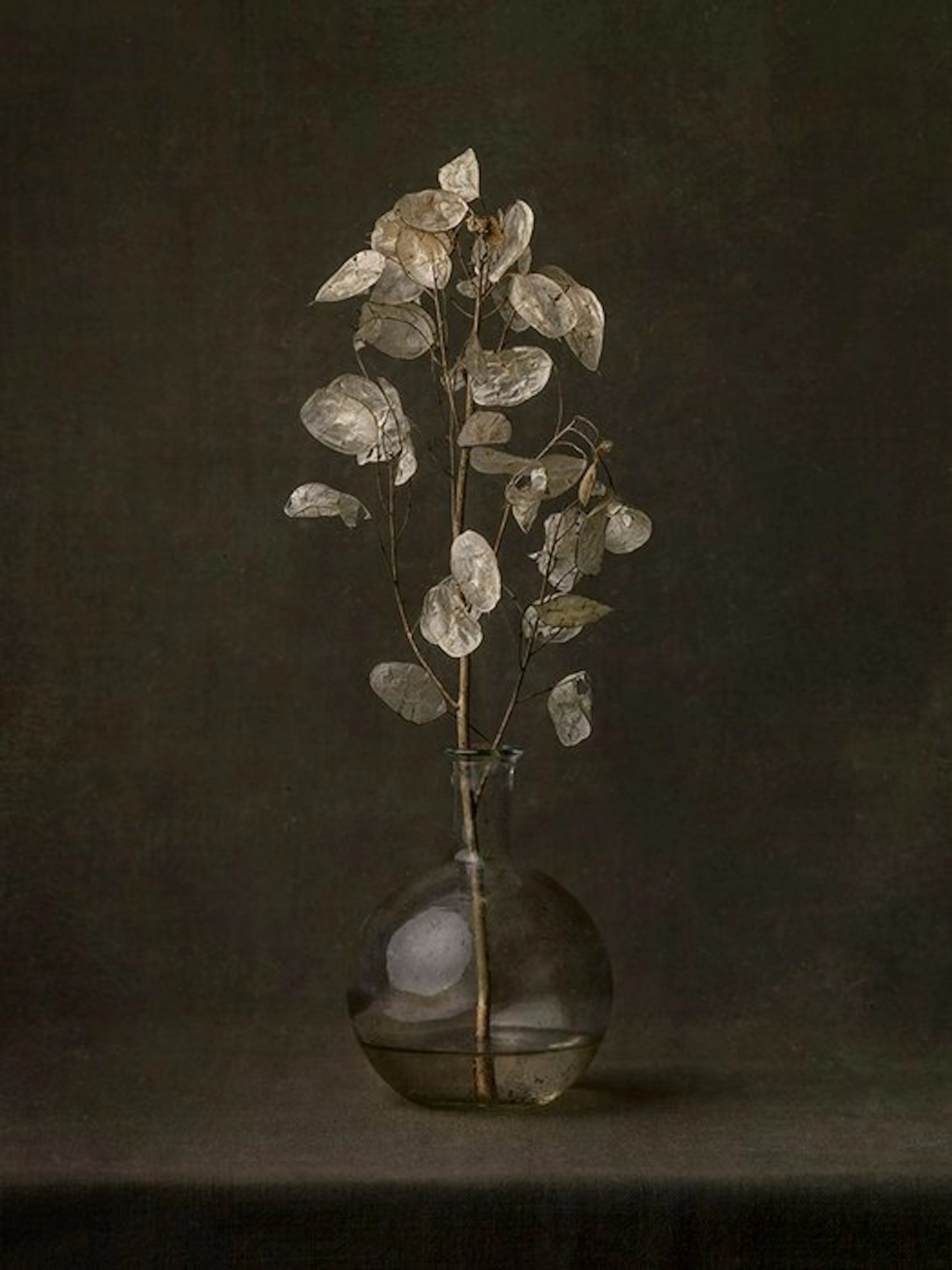 Tessa Posthuma de Boer - Honesty