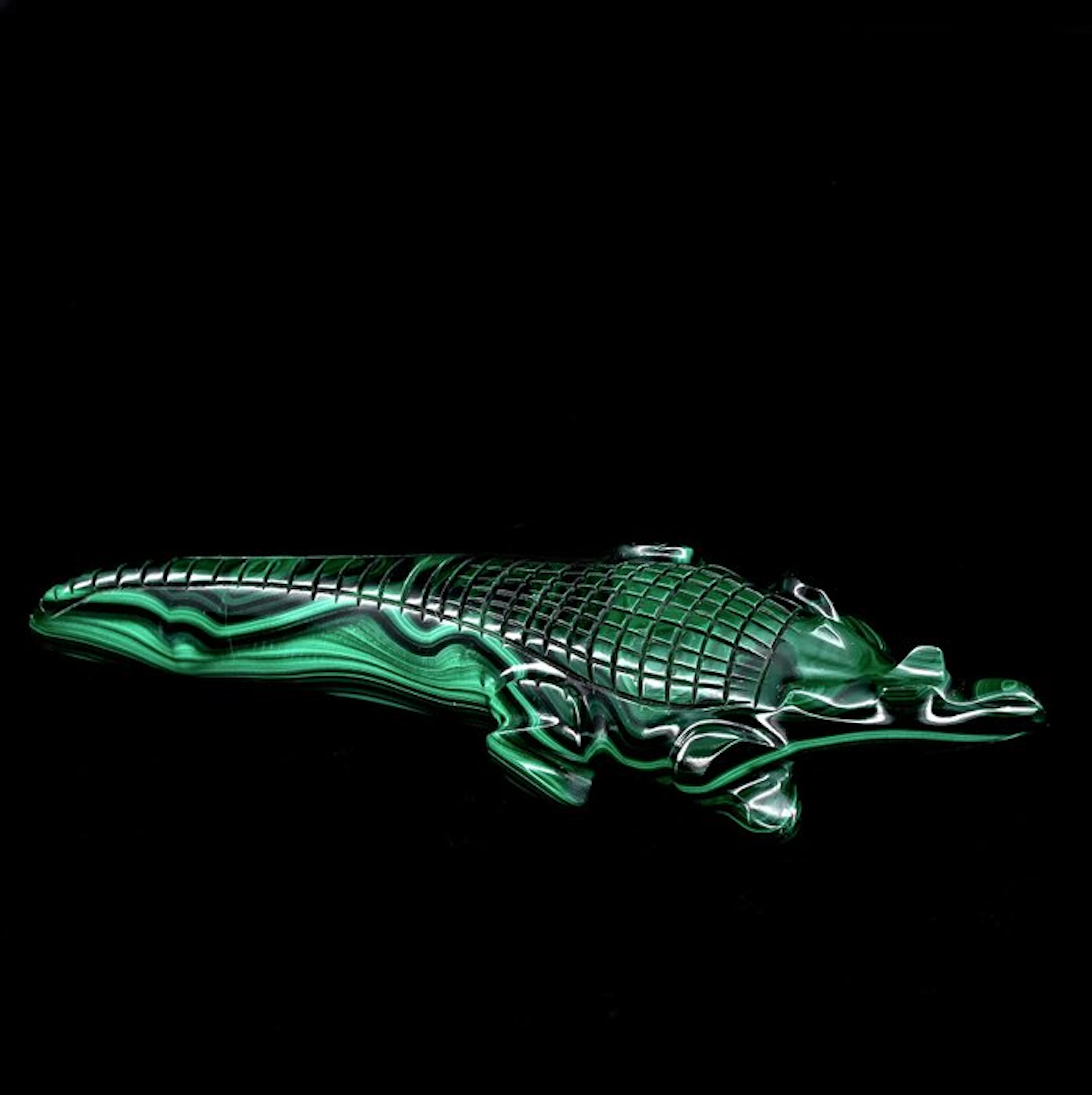 First quality Malachite crocodile - Height: 11.8 cm - Width: 3.3 cm- 82 g