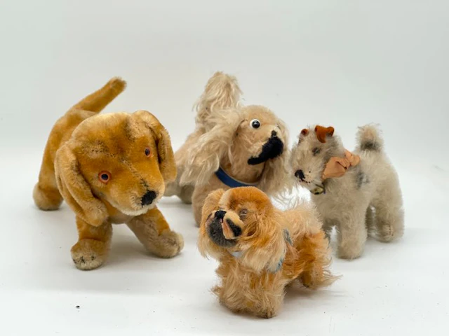 Steiff - Teddy bear Collection of Steiff dogs - 1950-1960 - Germany
