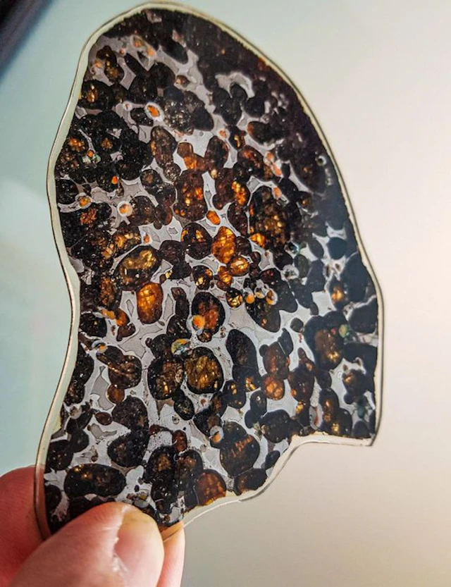Pallasite Sericho pallasite - Height: 10.6 cm - Width: 7.2 cm - 37.2 g