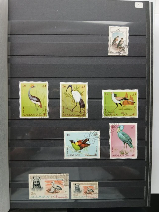 World - birds of the world