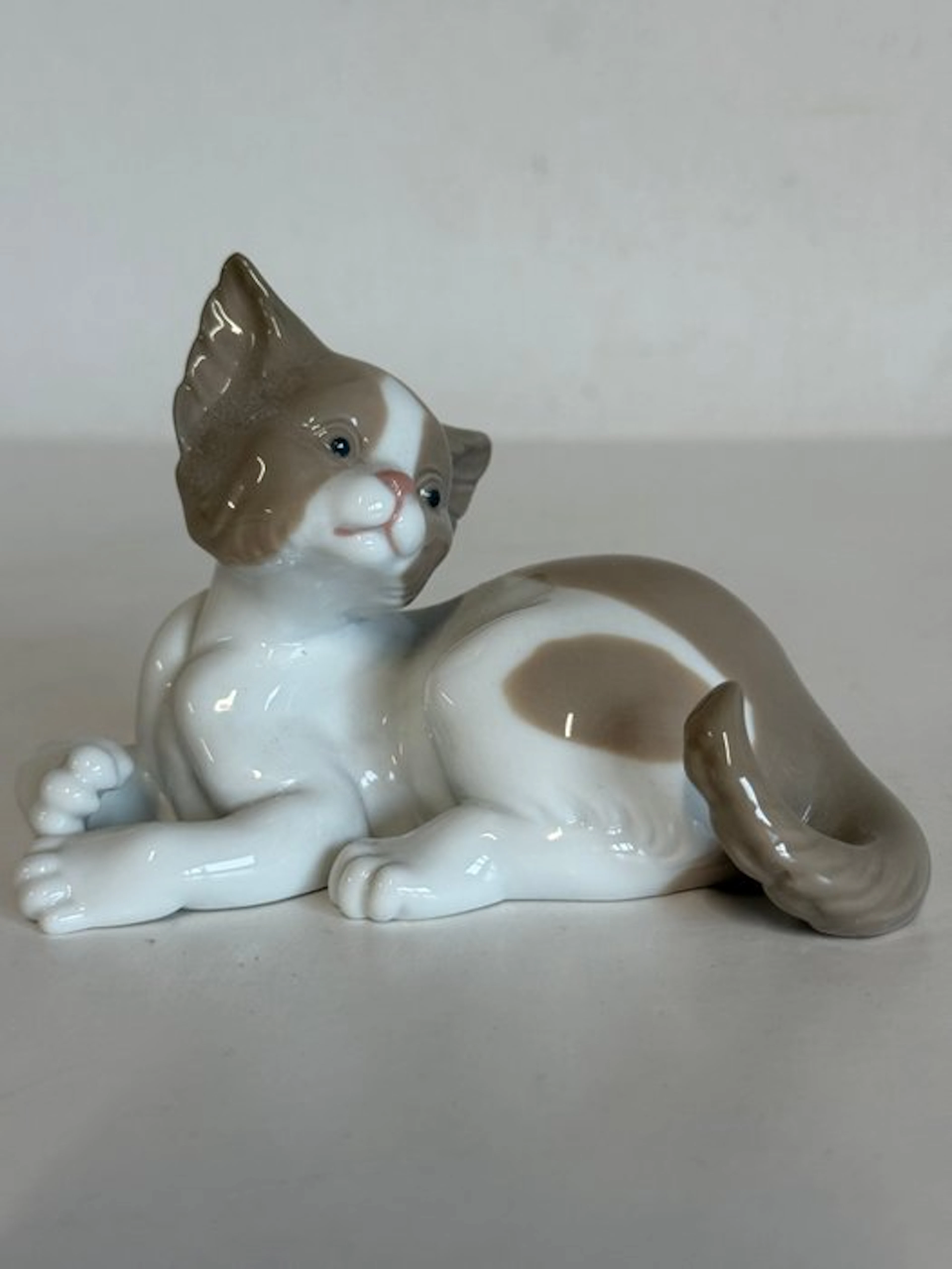 Figurine - Surprised Cat - Gatito Sorprendido #5114 - Porcelain