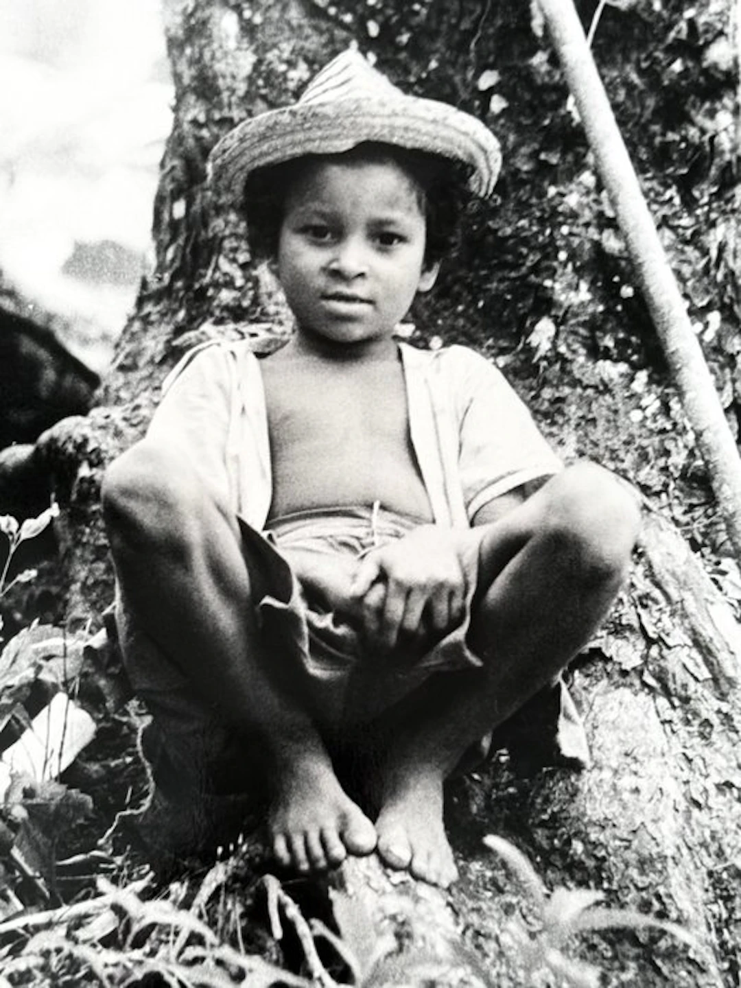 Alberto Korda (1928–2001) - Niño campesino sobre un arbol en Sierra Maestra