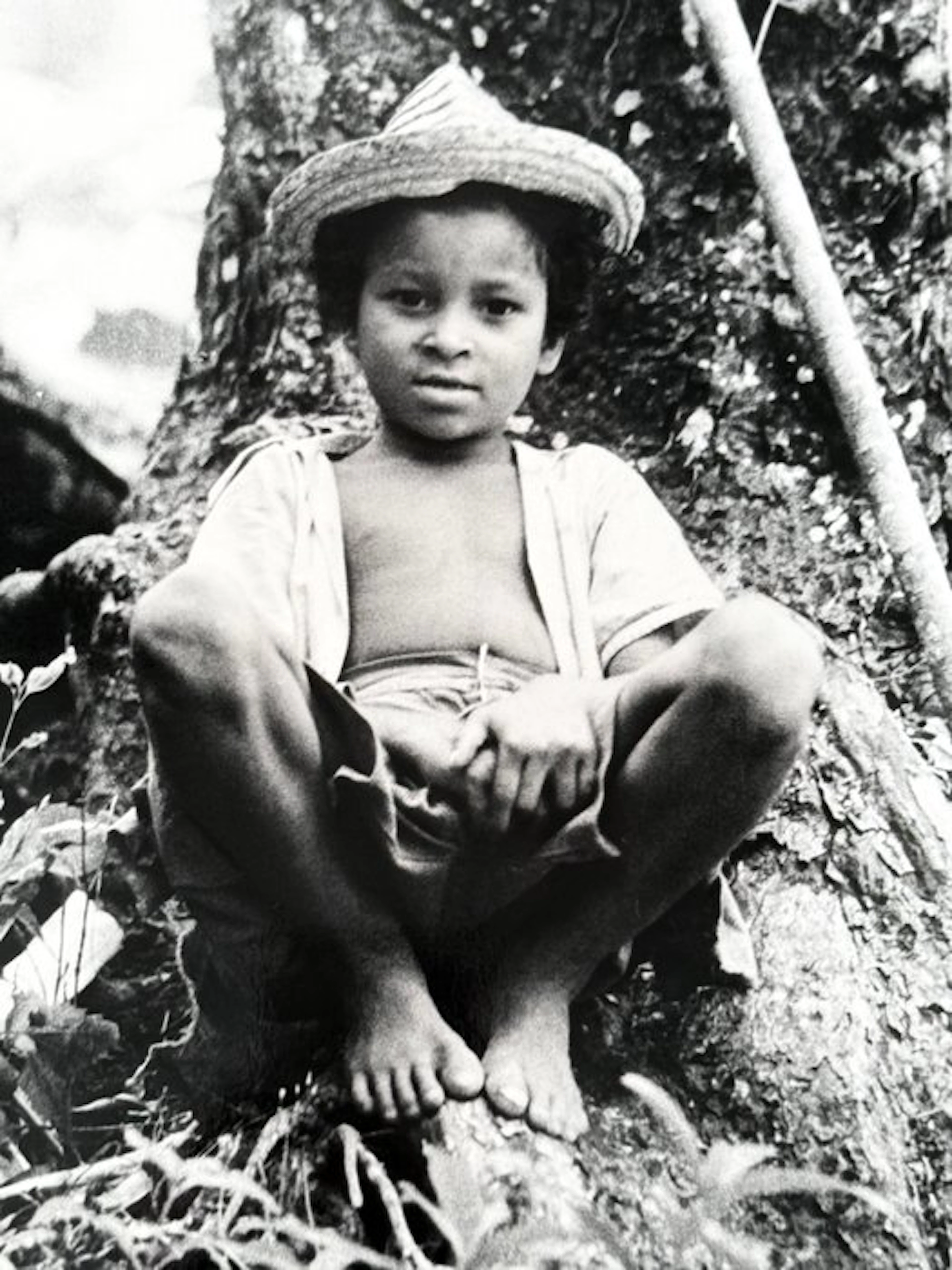 Alberto Korda (1928–2001) - Niño campesino sobre un arbol en Sierra Maestra
