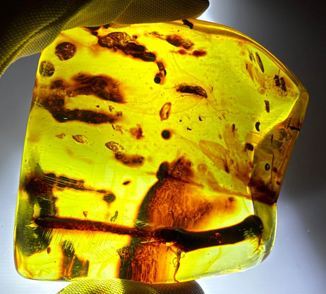 FOSSlL-AMAZING!! Dominican amber- 58.21 g