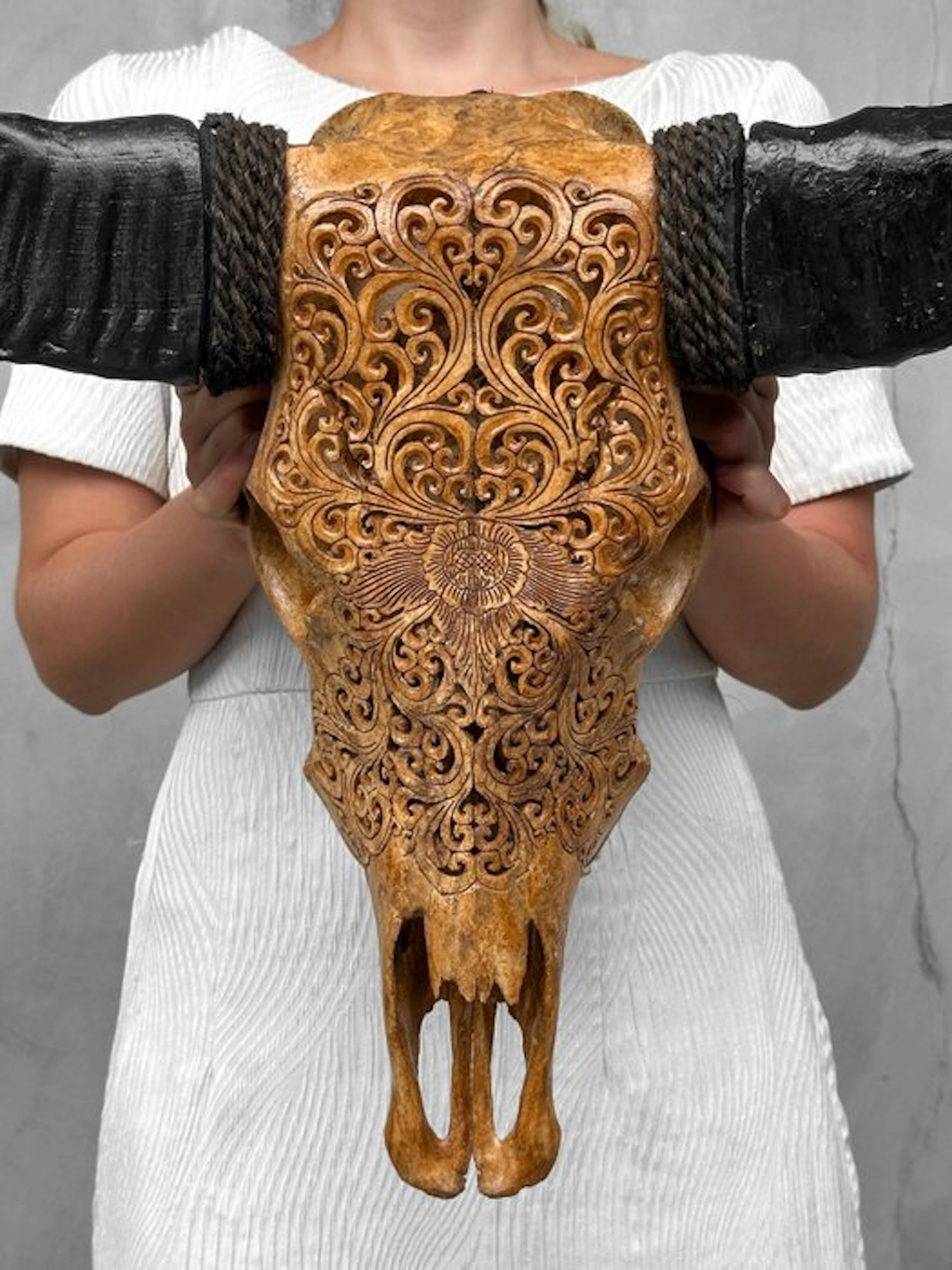NO RESERVE PRICE - Authentic Large Brown Buffalo Skull...