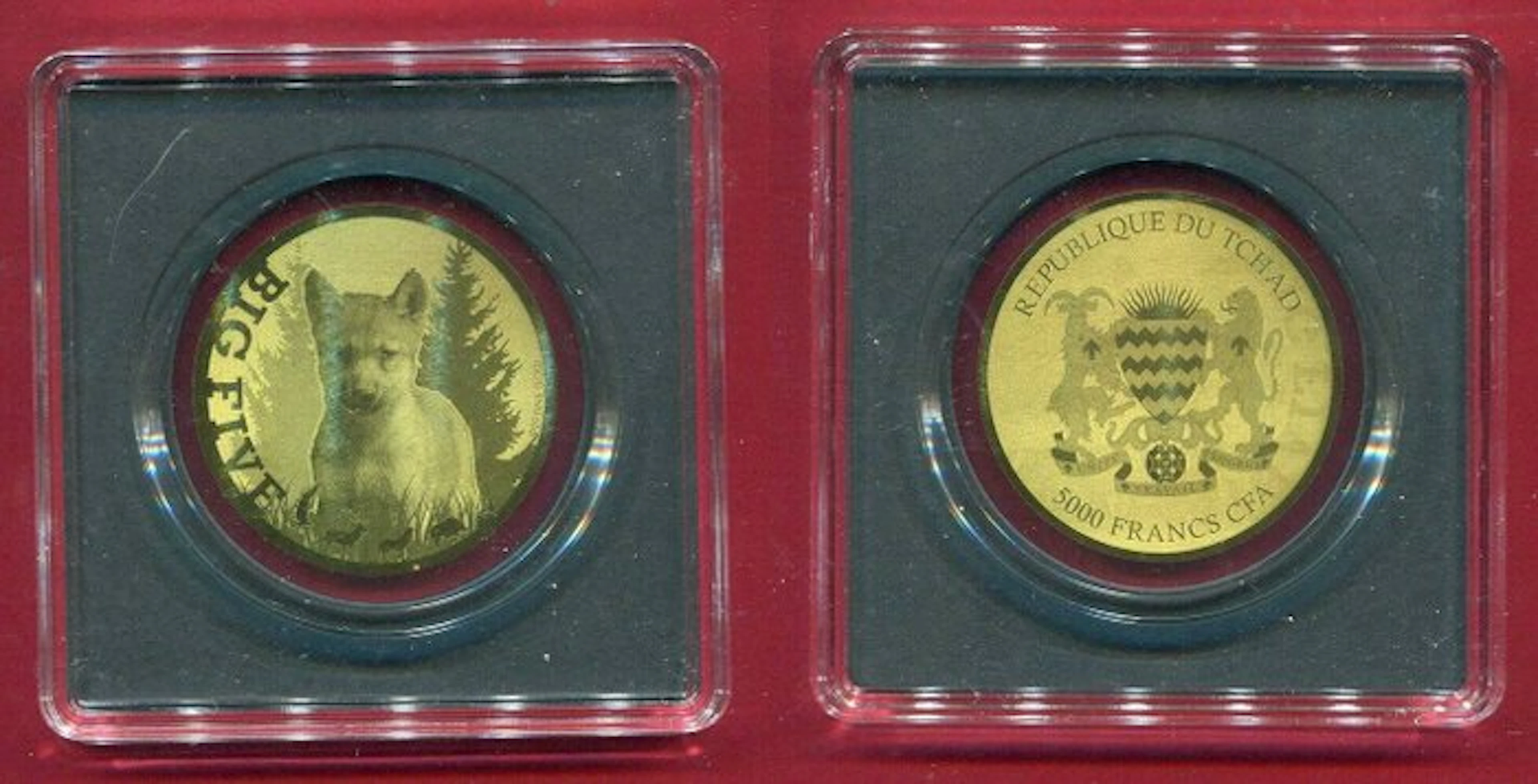 Chad. 5000 Francs 2022 - Big Five, Wolf Pup (No reserve price)