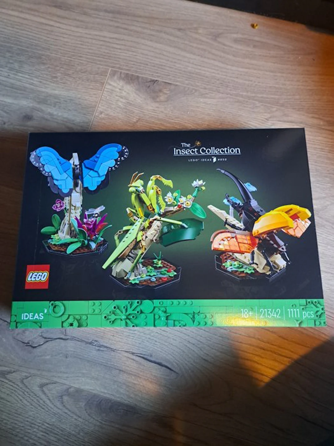 LEGO Set - 21342 - Ideas (CUUSOO) - The Insect Collection