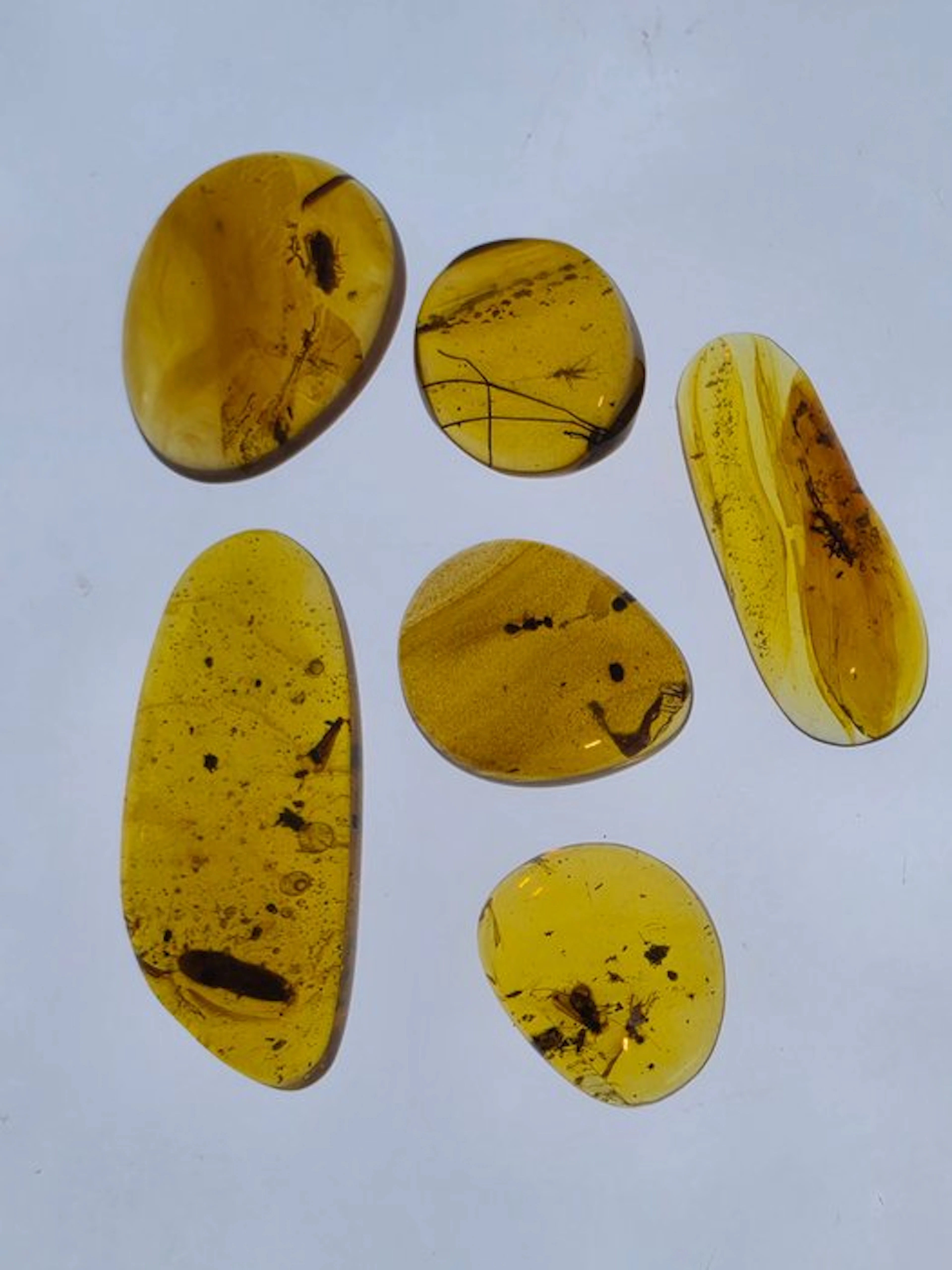 Burmese amber - Amber - Collection of Six Burmese Amber...