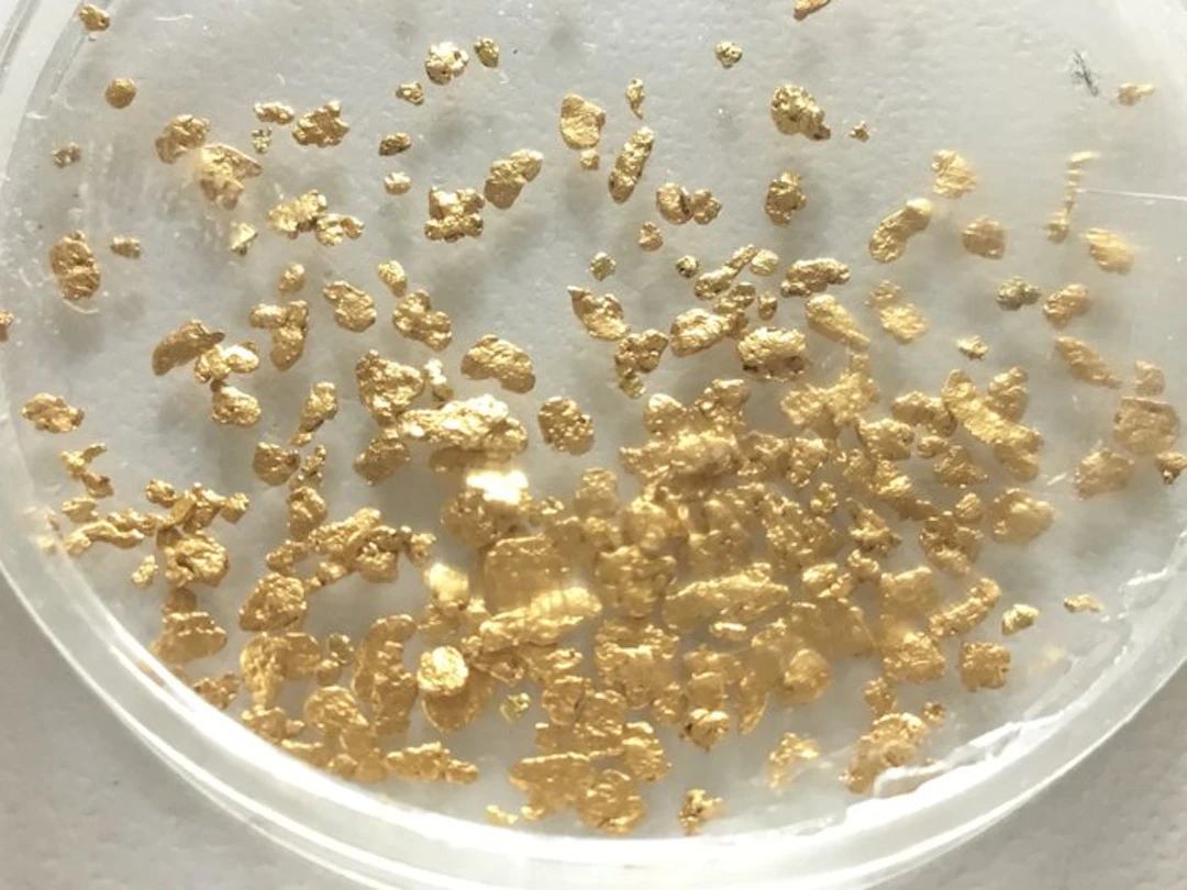 Yukon Nuggets - Height: 2 mm - Width: 5 mm- 1.12 g - (77)