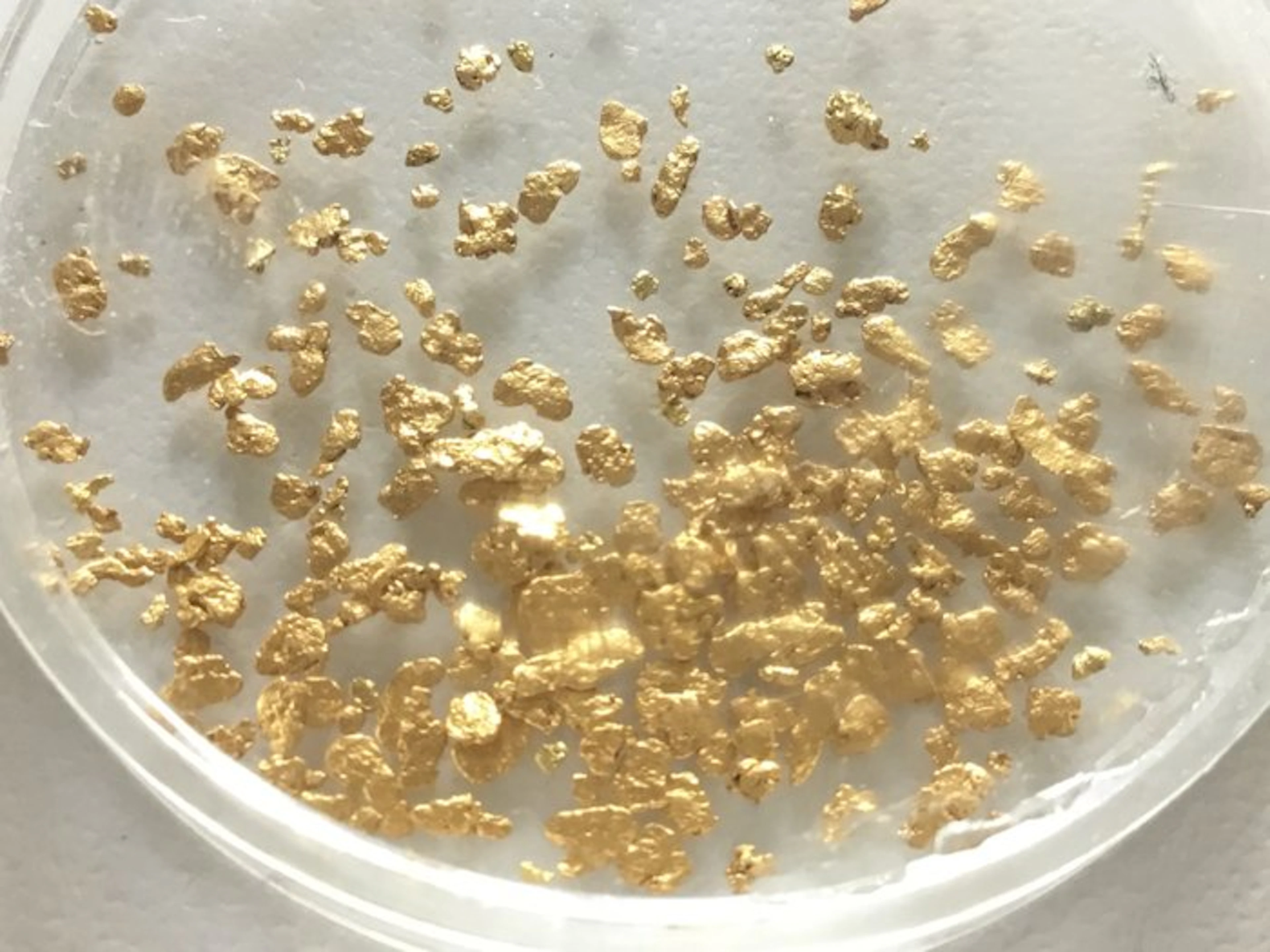 Yukon Nuggets - Height: 2 mm - Width: 5 mm- 1.12 g - (77)