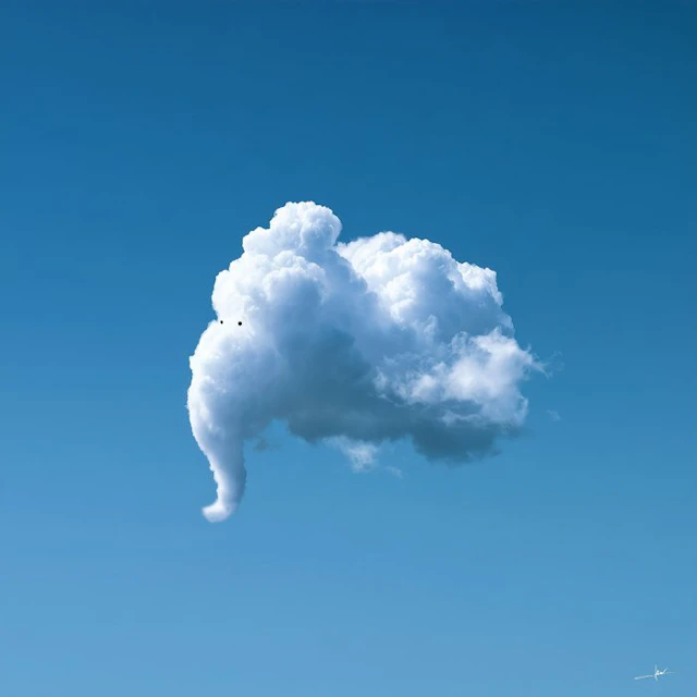 David Law - Magic Clouds - The Elephant