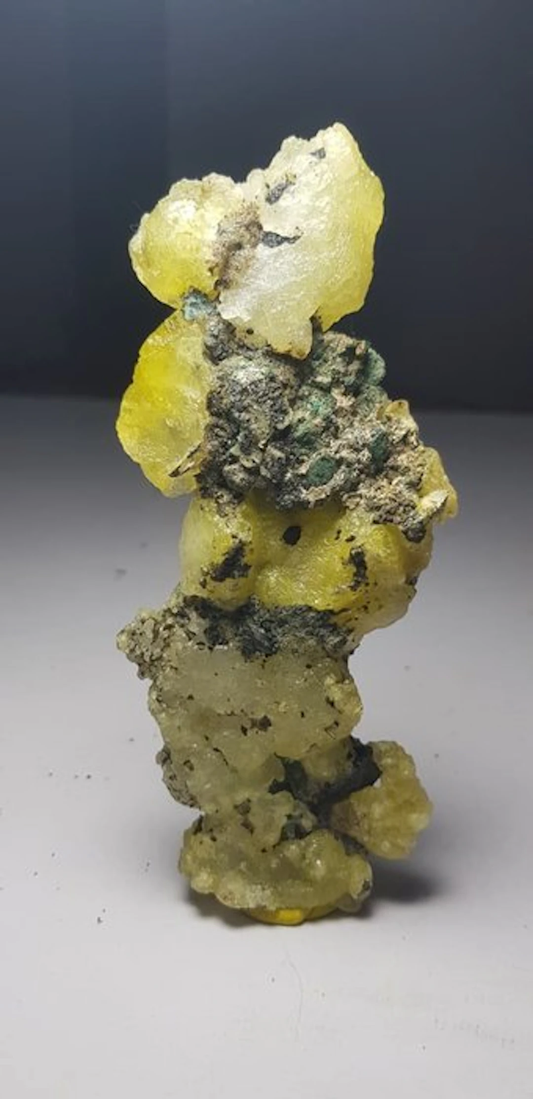 Natural Brucite crystal looks like leafs of tree Mineral...