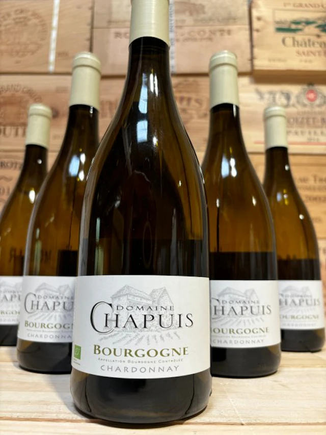2021 Domaine Chapuis - Burgundy - 6 Bottles (0.75L)