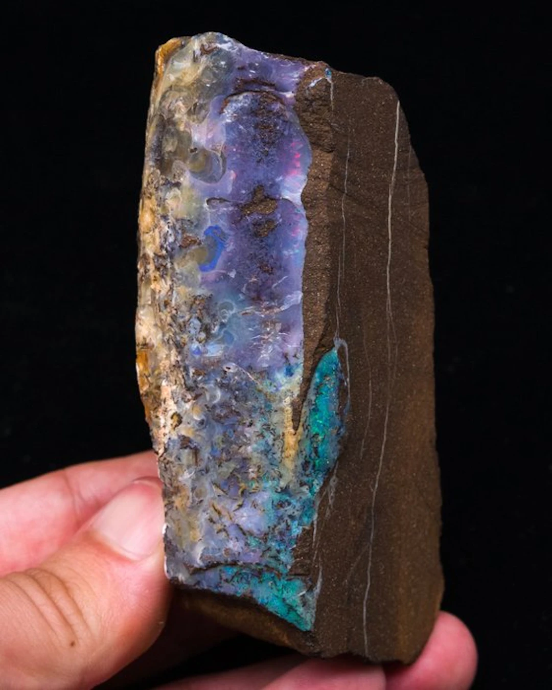 BOULDER OPAL multicolour fire - Height: 9.9 cm - Width: 3.2 cm- 217 g - (1)