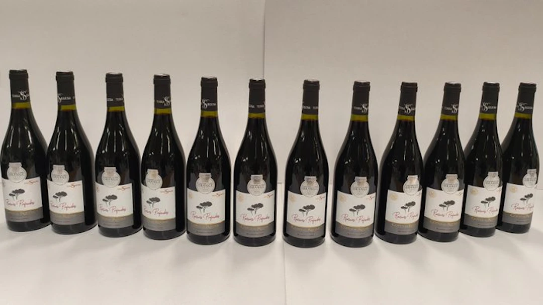 2024 Terra Segusa, Racines Profondes - Côtes-du-Rhône - 12 Bouteilles (0,75 L)