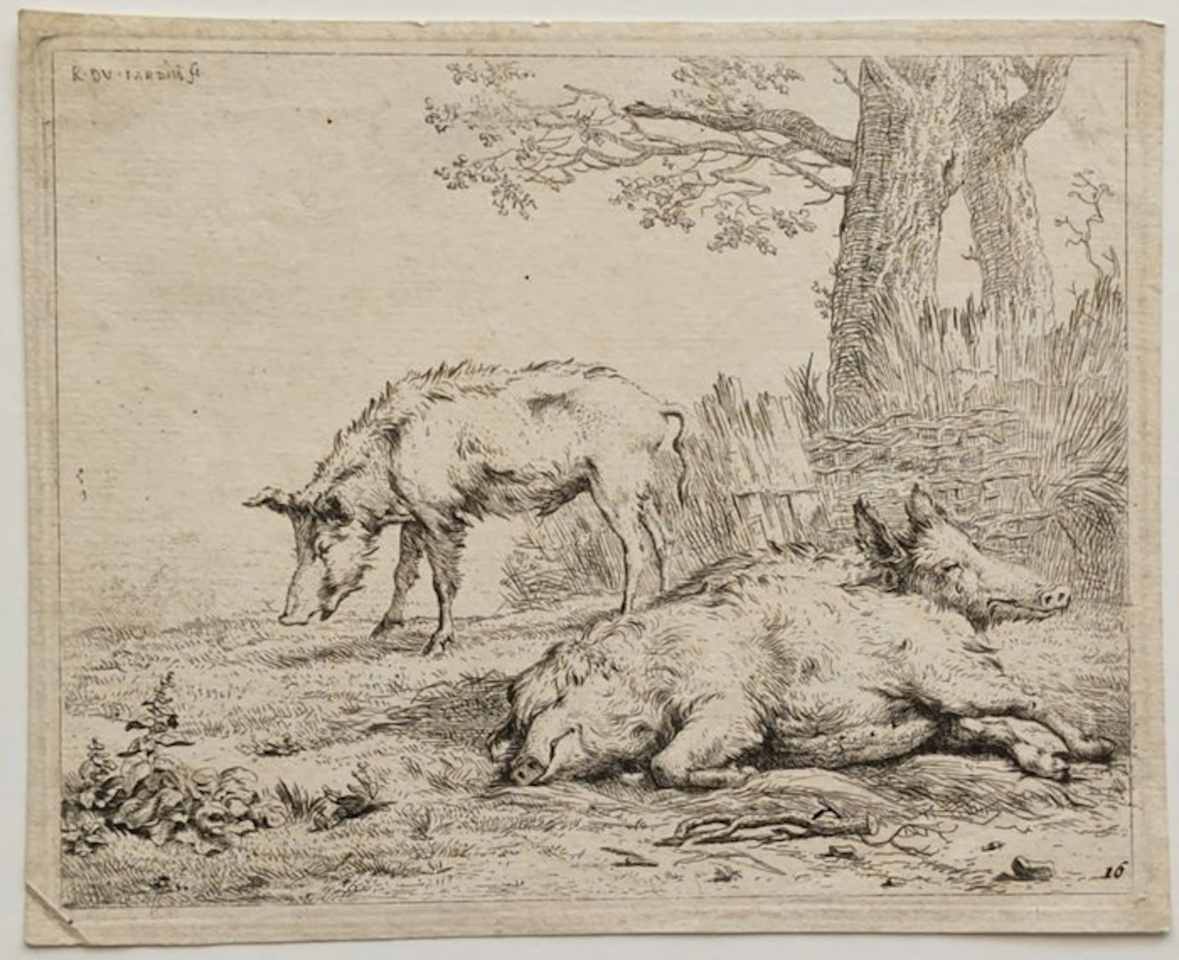 Karel Dujardin (1622 Ca./ 1678) - Tre cinghiali vicino a una siepe