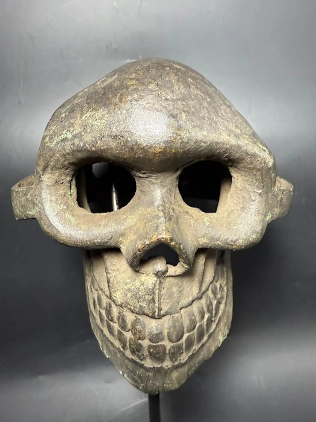 Head Skull - Igbo - Nigeria (No reserve price)