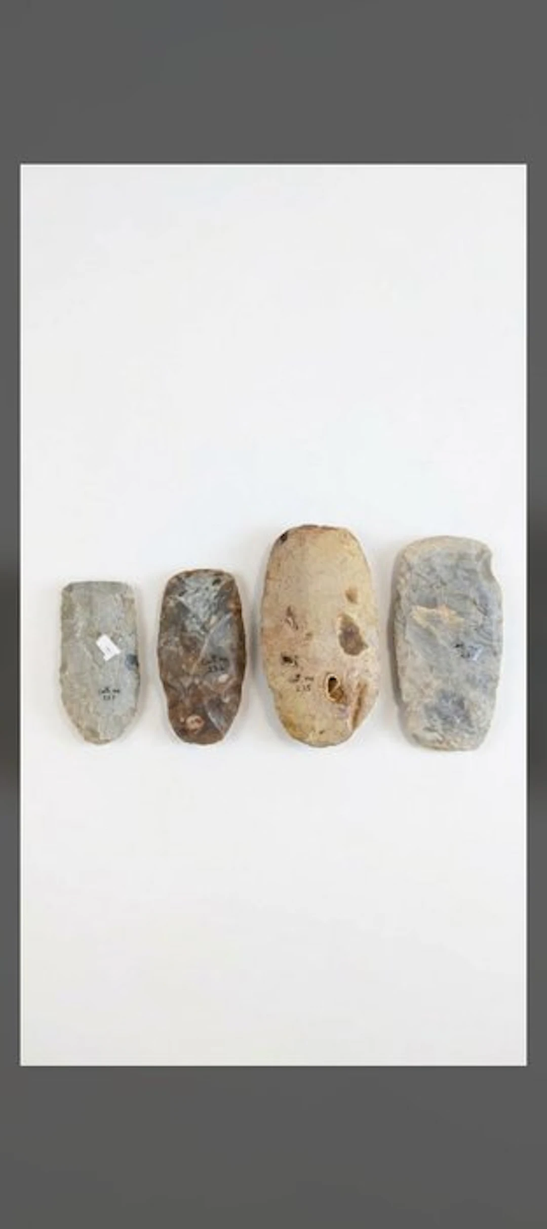 Neolithic agate Collection of polished agate axes. - 125 mm (No reserve price)