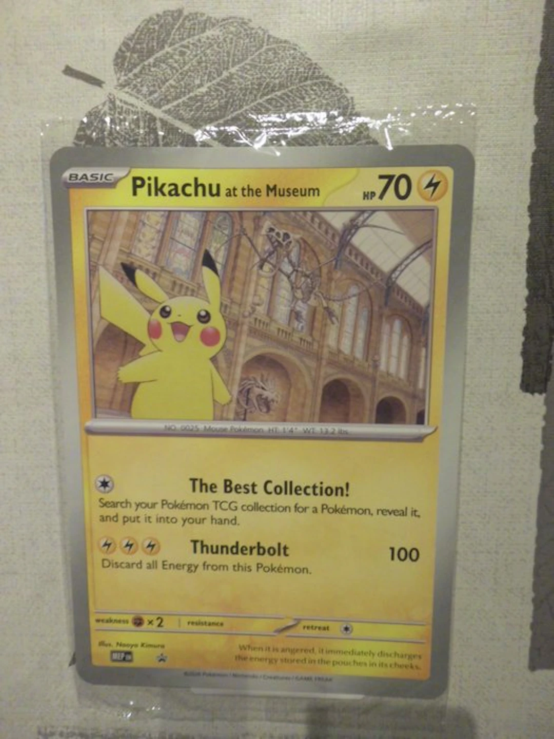 Pokémon - 1 Card - Pikachu at the museum Promo card