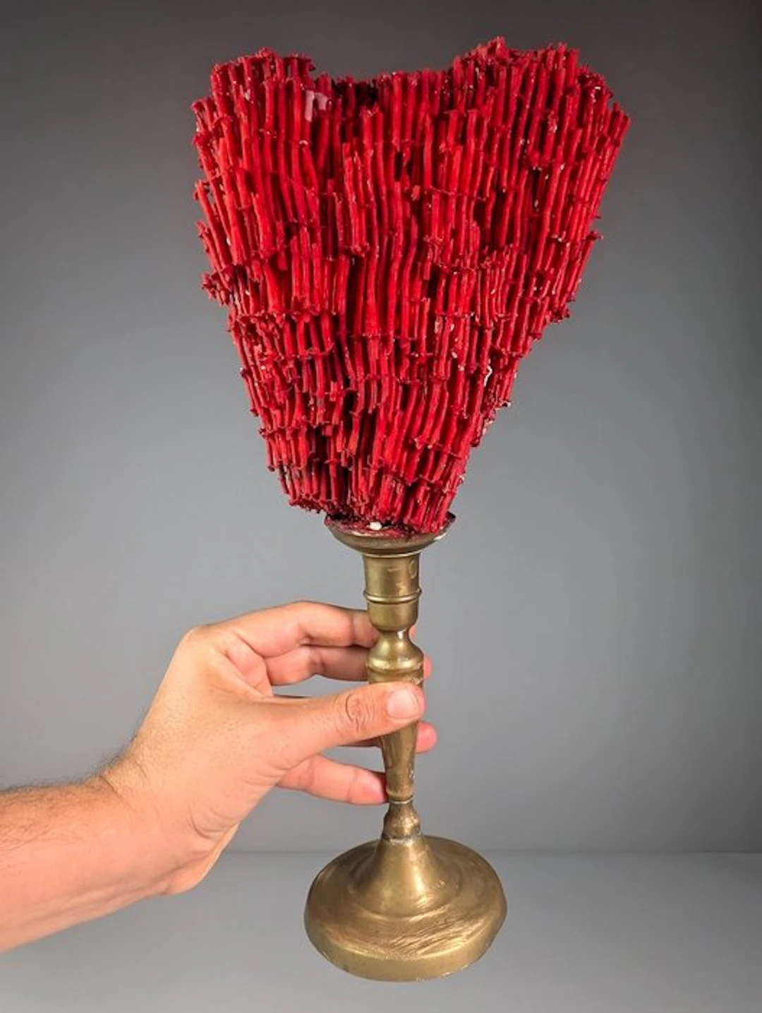 Organ Pipe Coral on Vintage Brass Stand (EU bidders only)...
