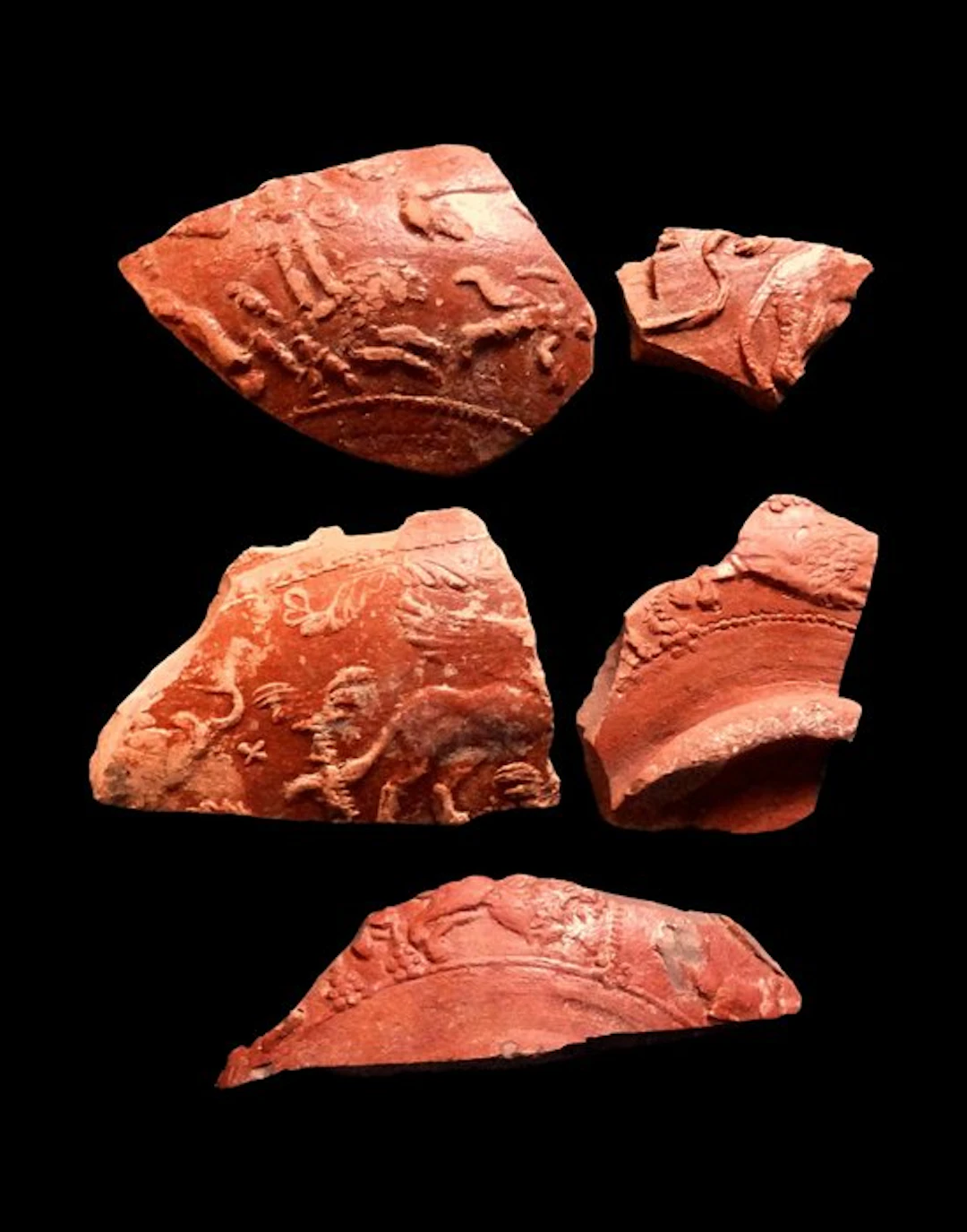 Ancient Roman - Gallo-Roman vase sherds in terra...