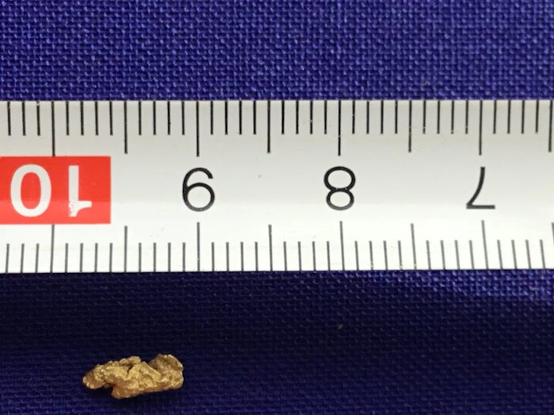Yukon Crystalline Nuggets - Height: 0.7 mm - Width: 0.7 mm- 0.2 g - (1)