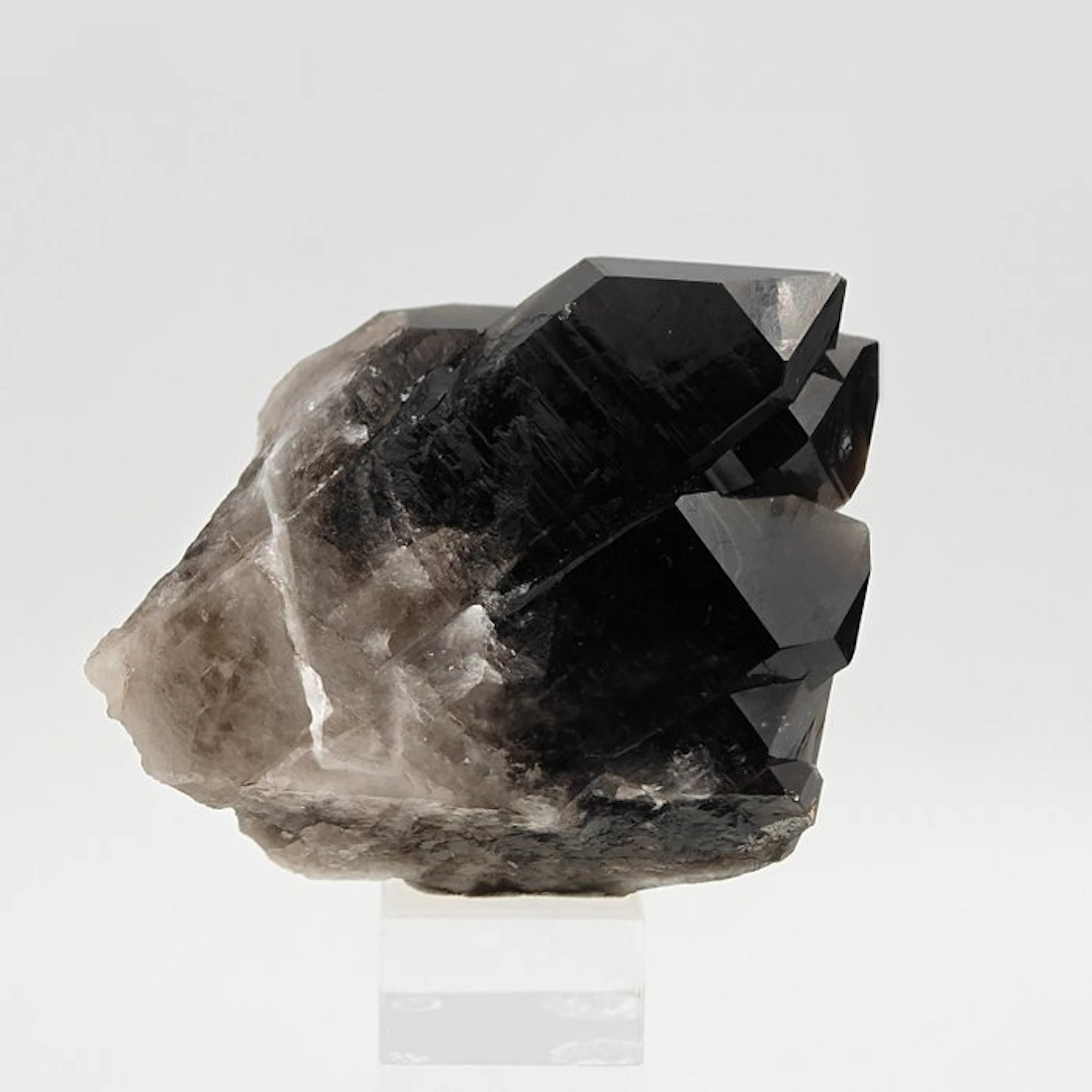BLACK MORIONE QUARTZ